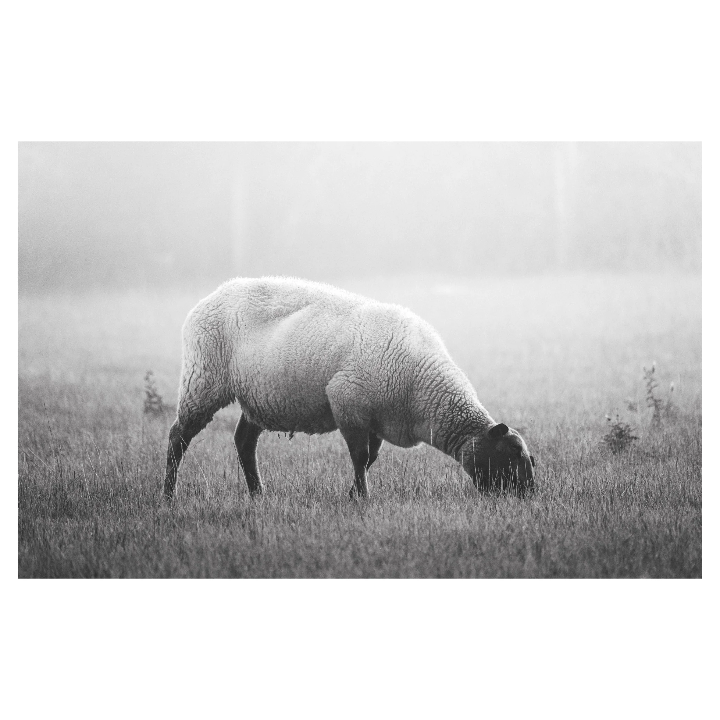 in frames-08.jpg