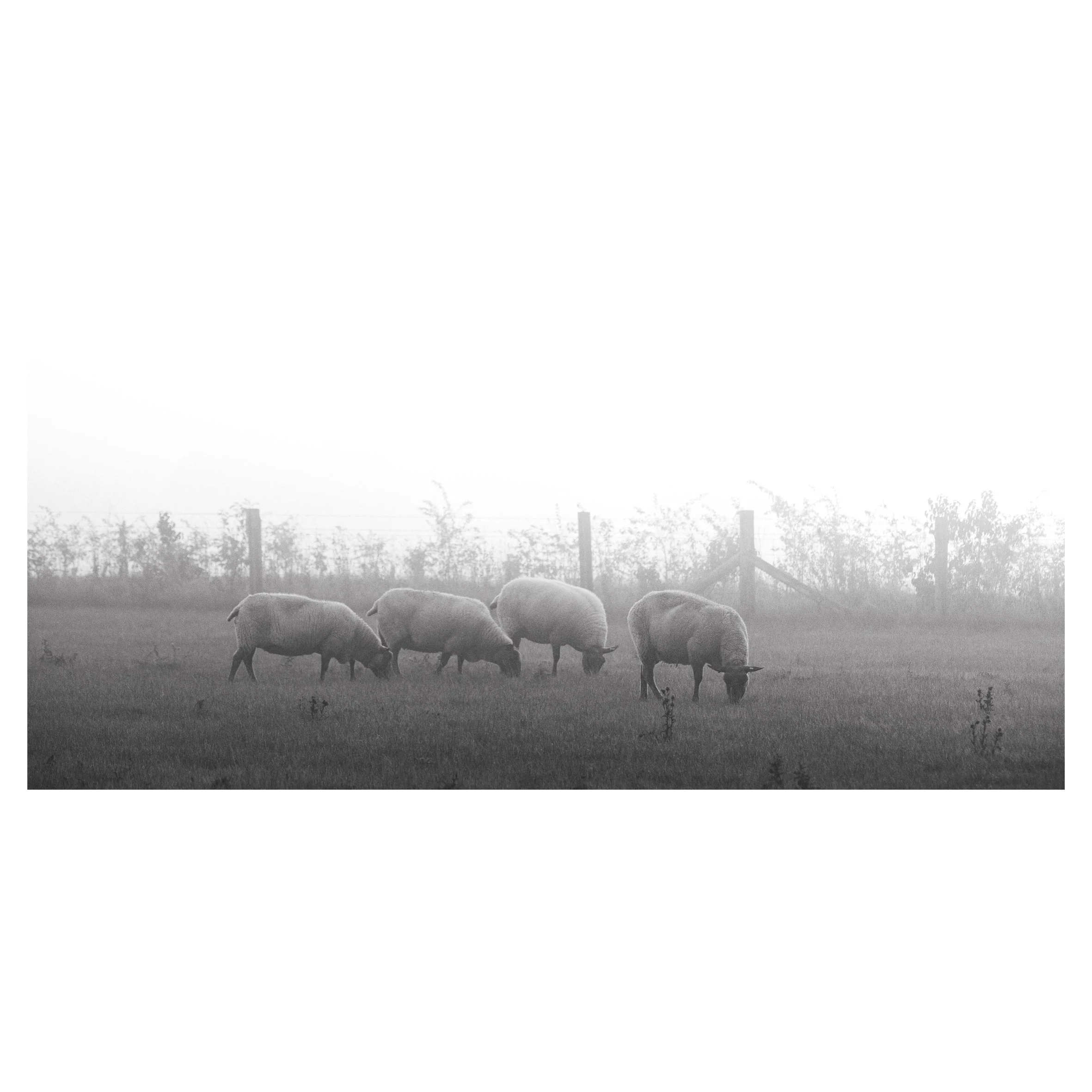 in frames-19.jpg