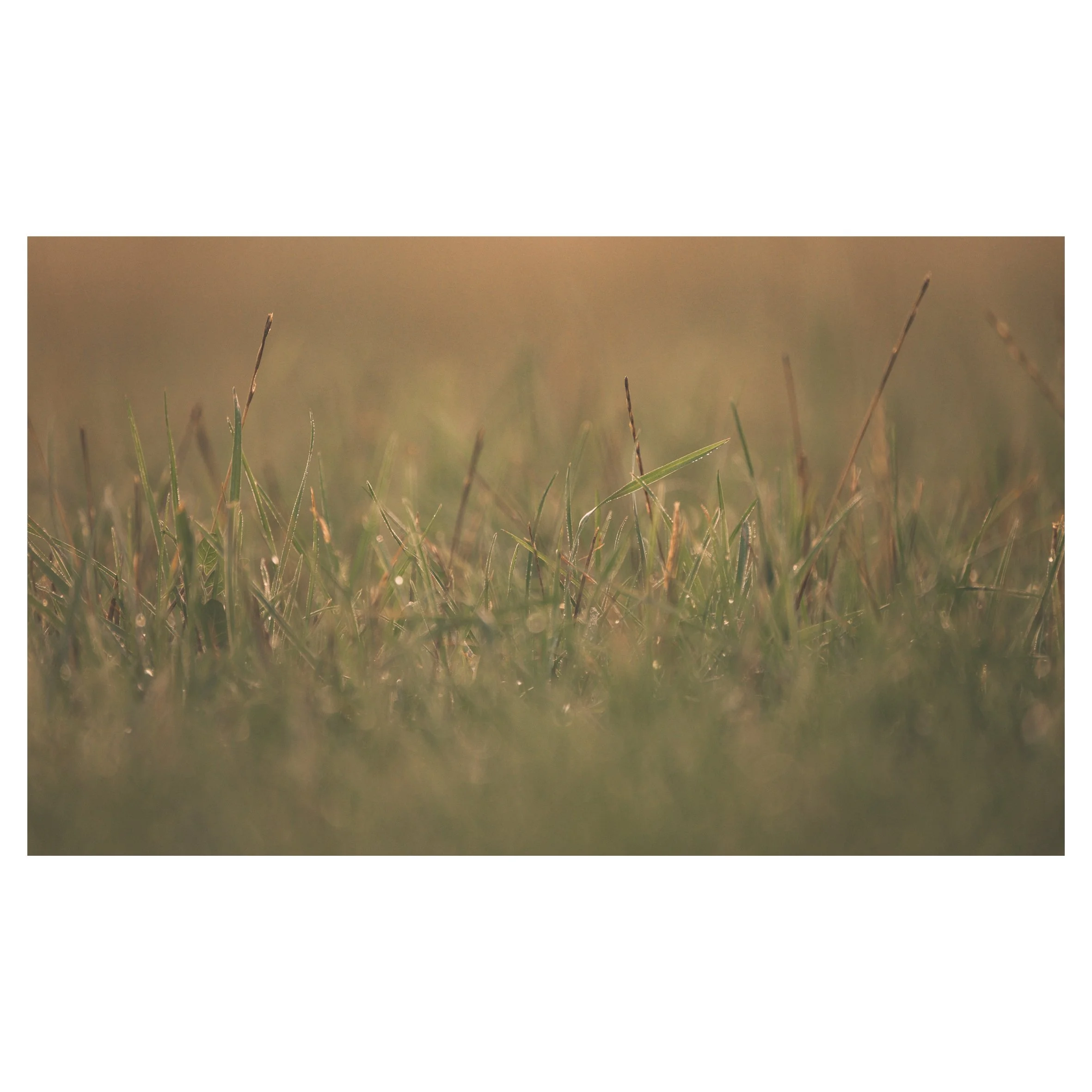 in frames-29.jpg