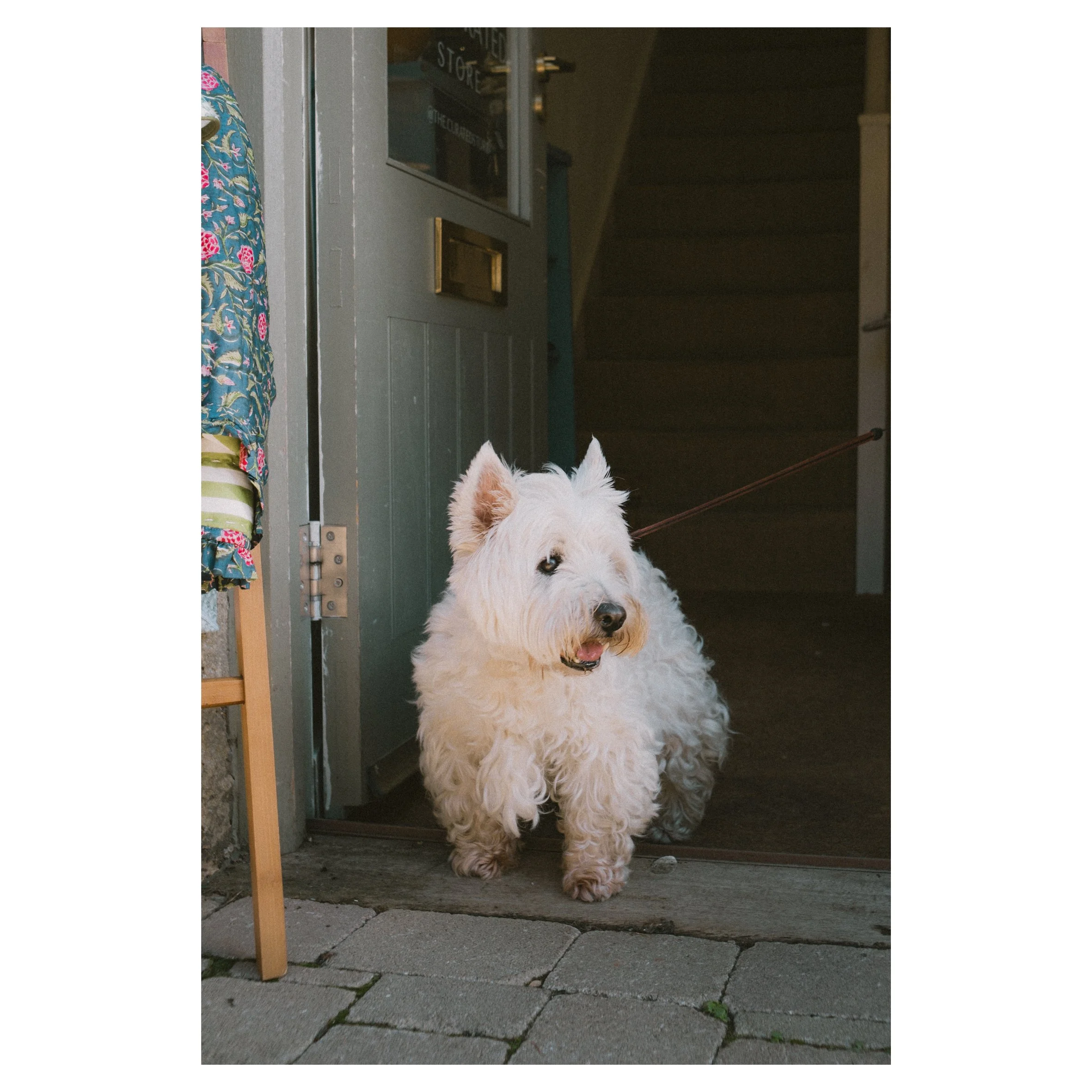 in frames-38.jpg