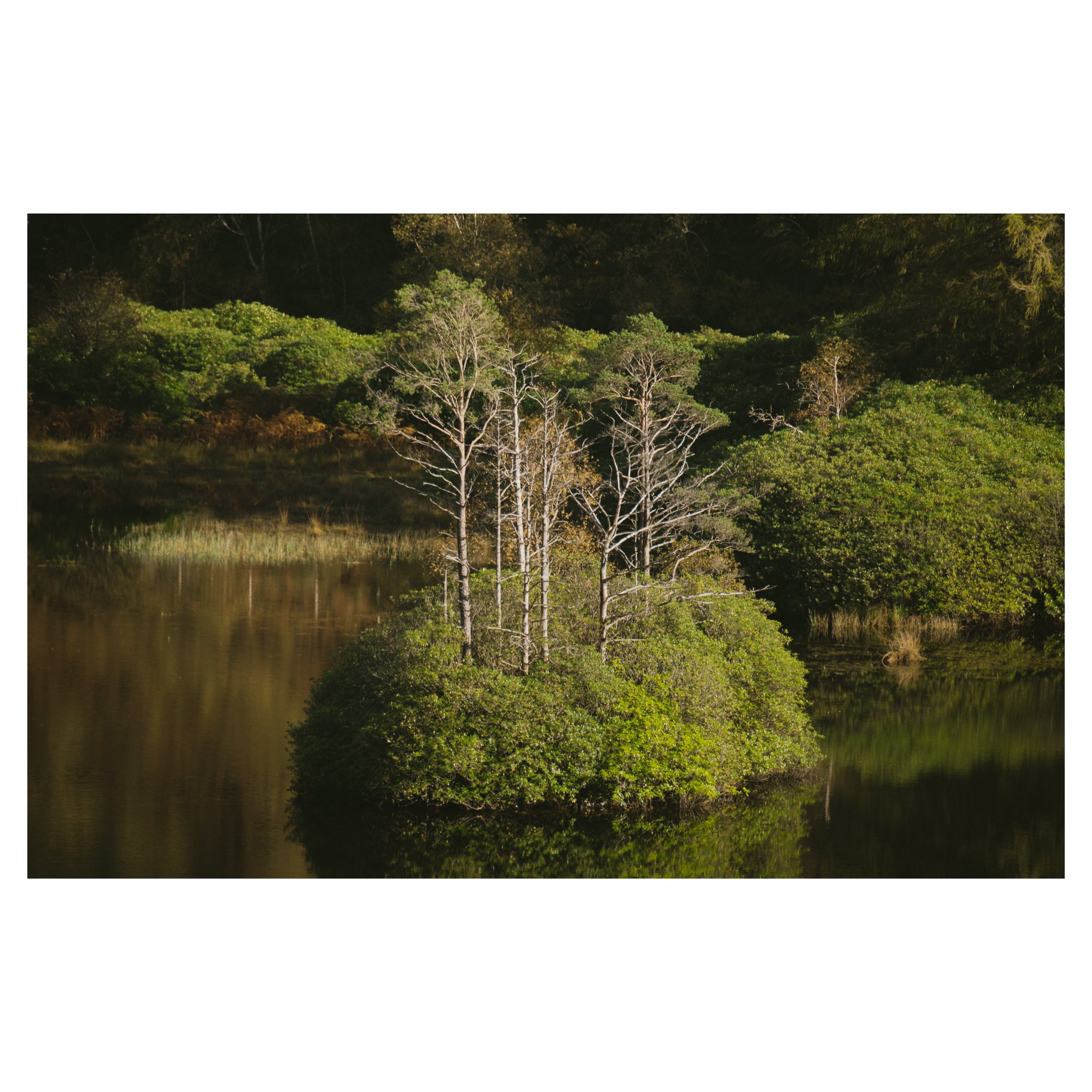 Glen Etiv in frames-36.jpg