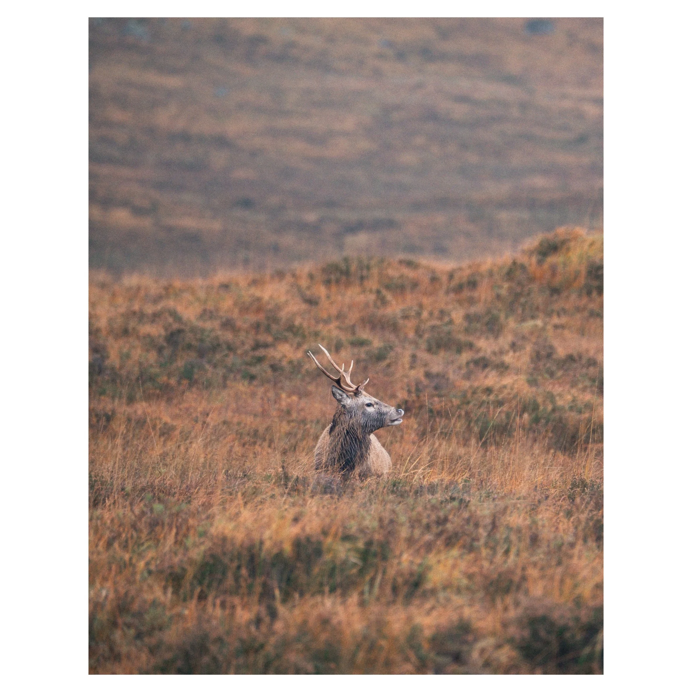 in frames-28.jpg