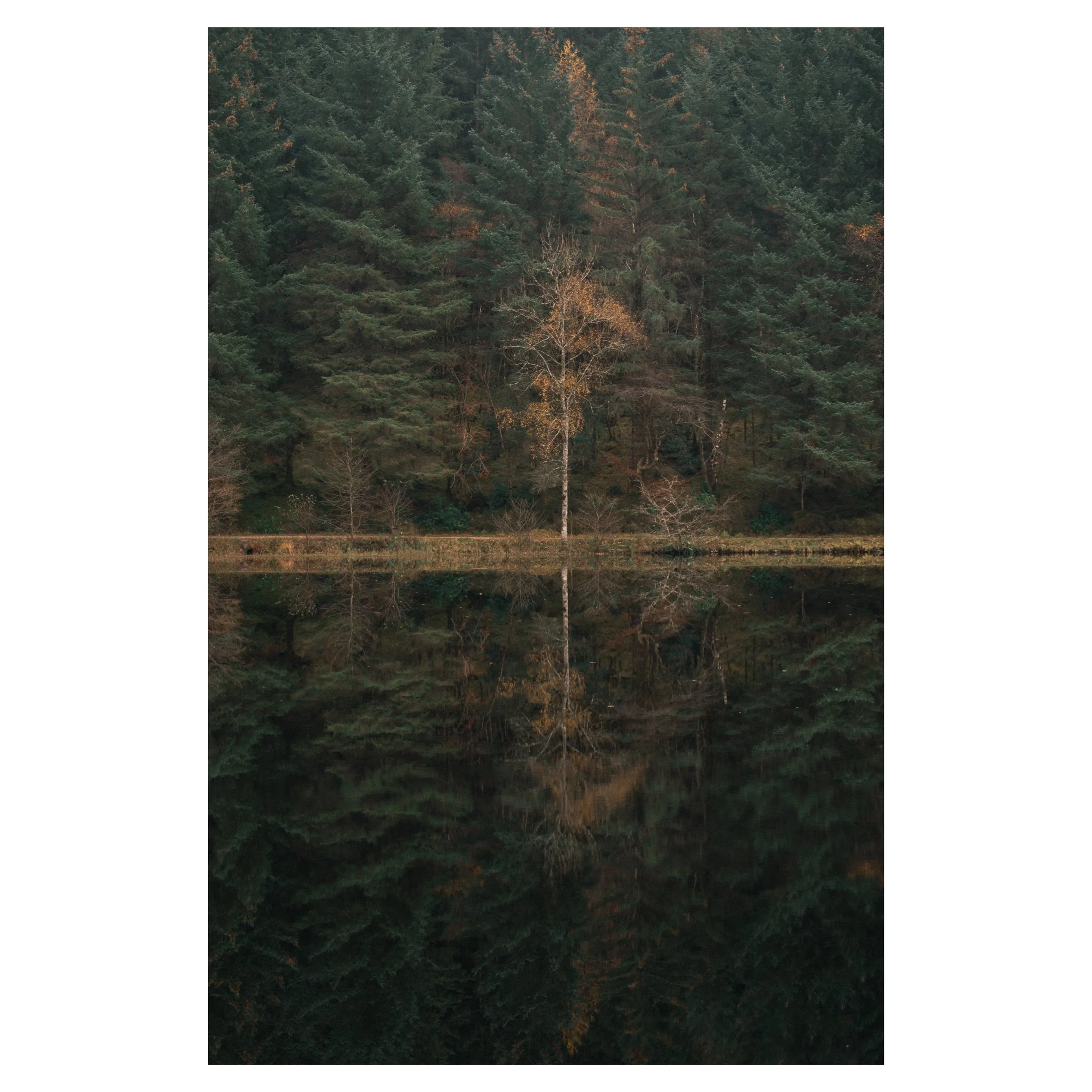 1st set in frames-13.jpg