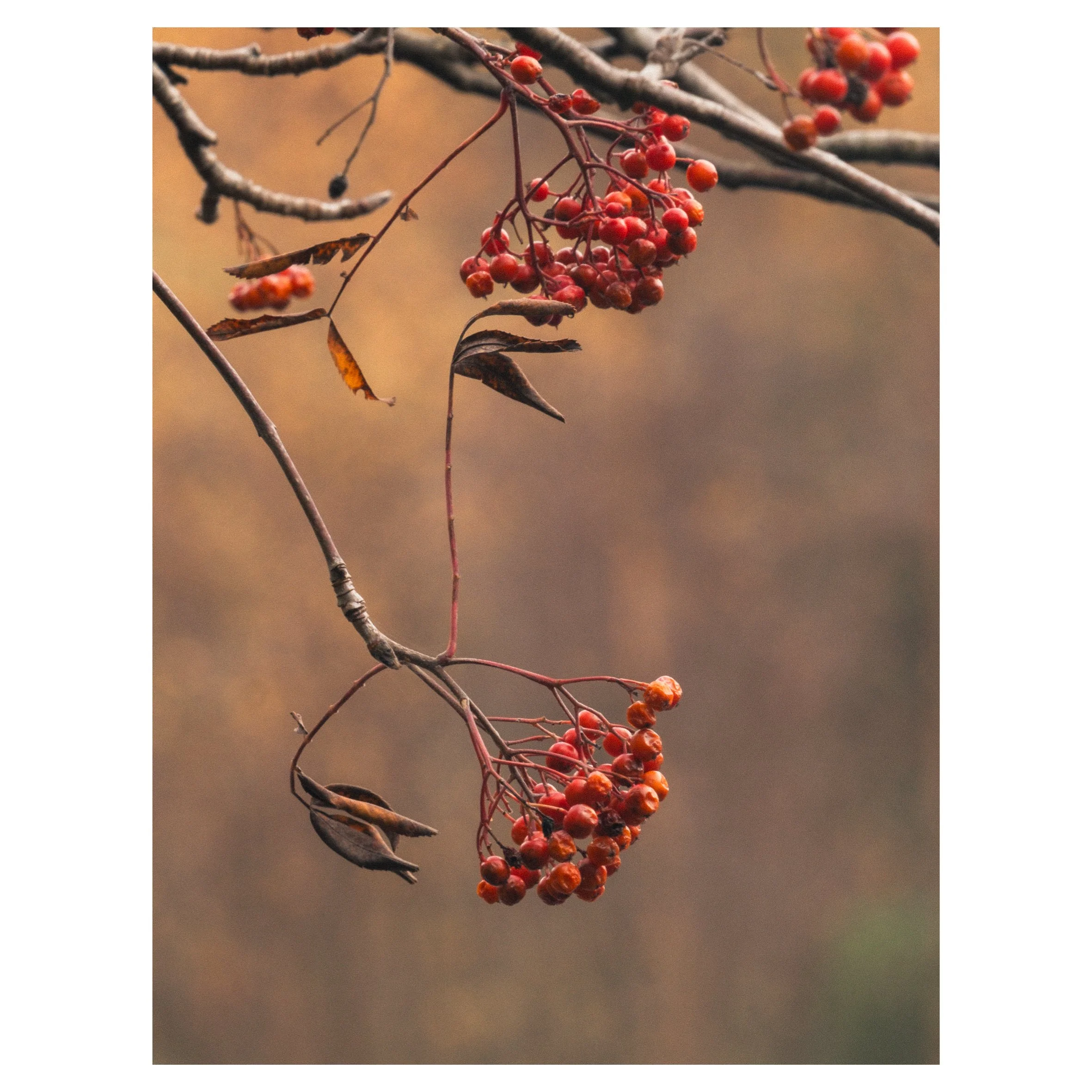 1st set in frames-14.jpg