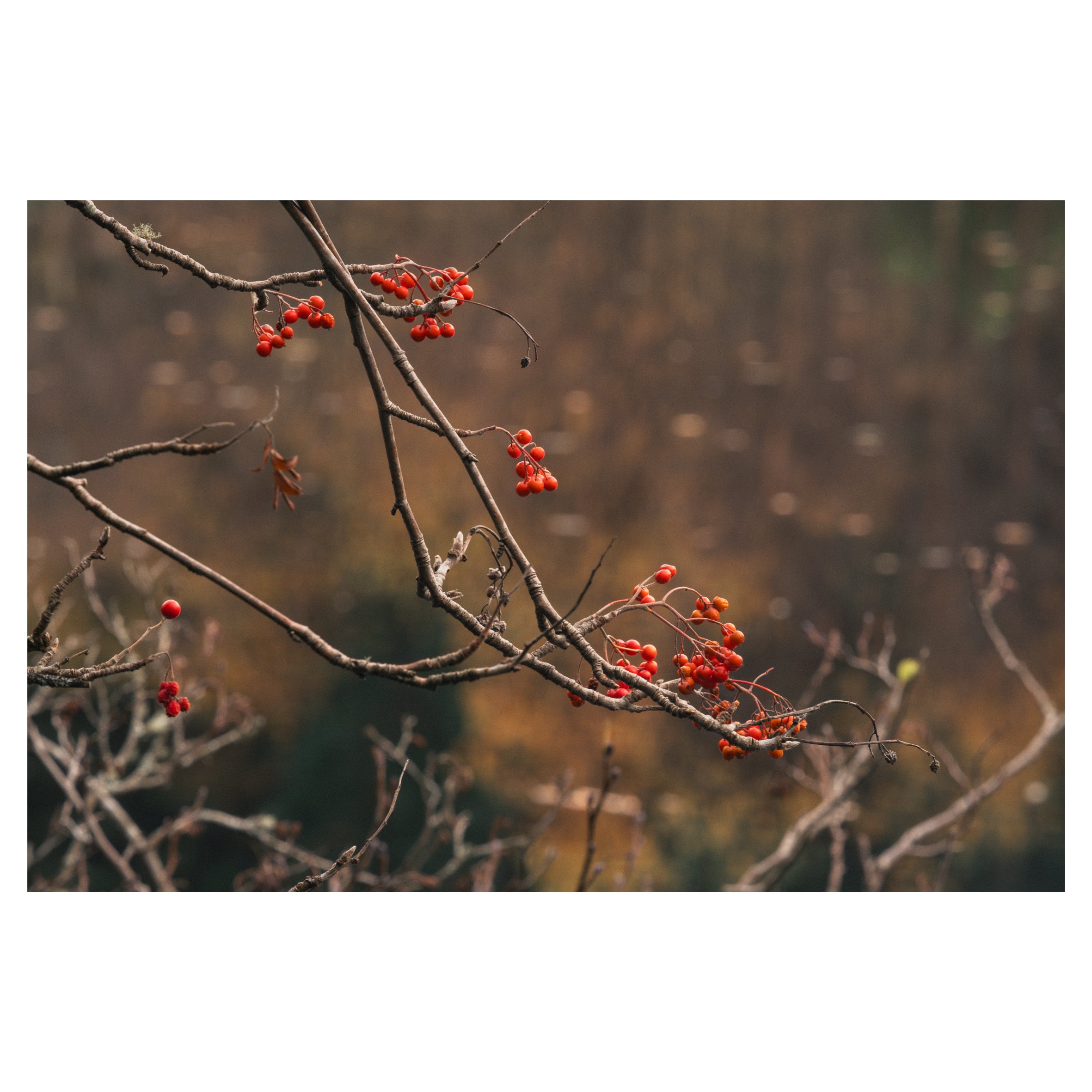 1st set in frames-15.jpg