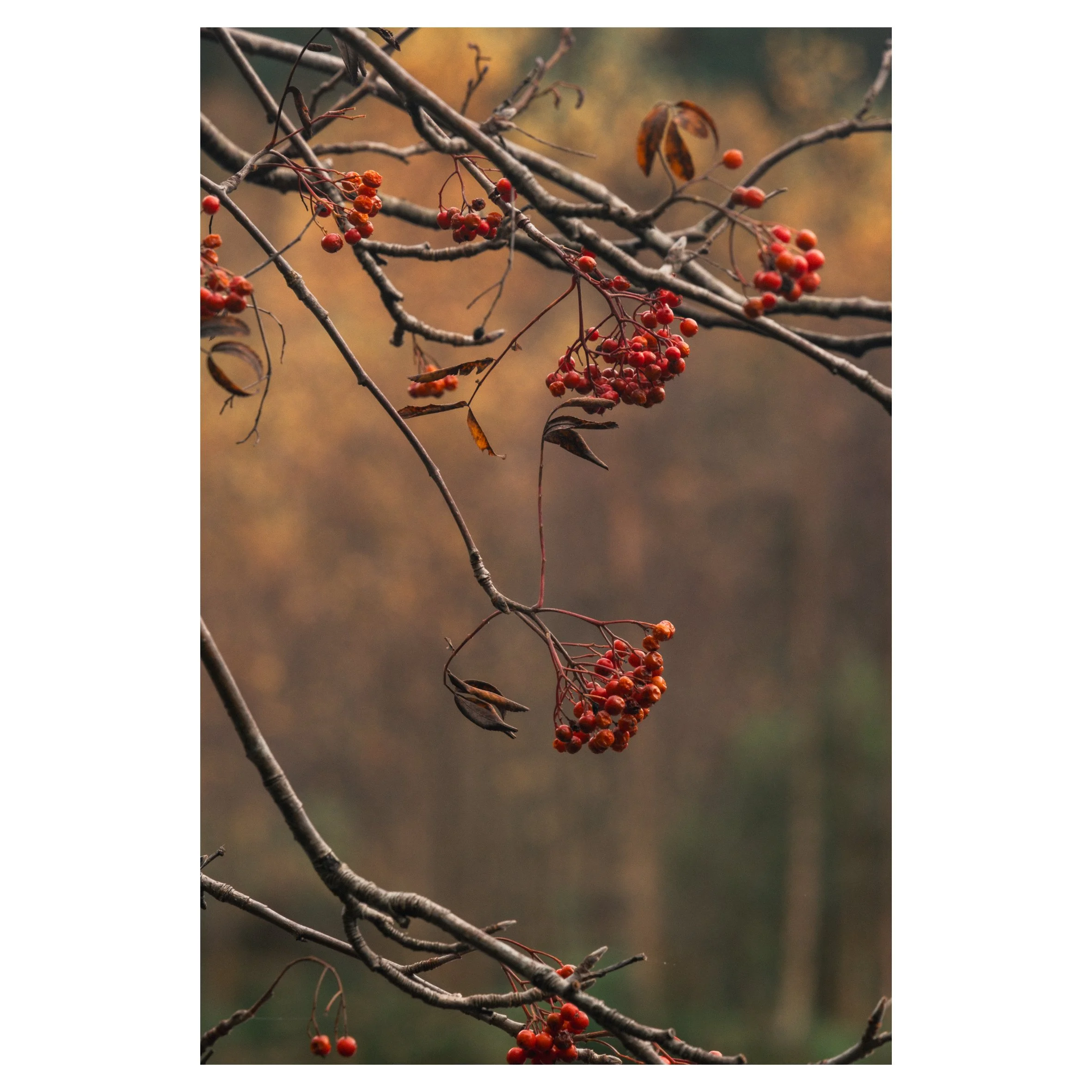 1st set in frames-16.jpg