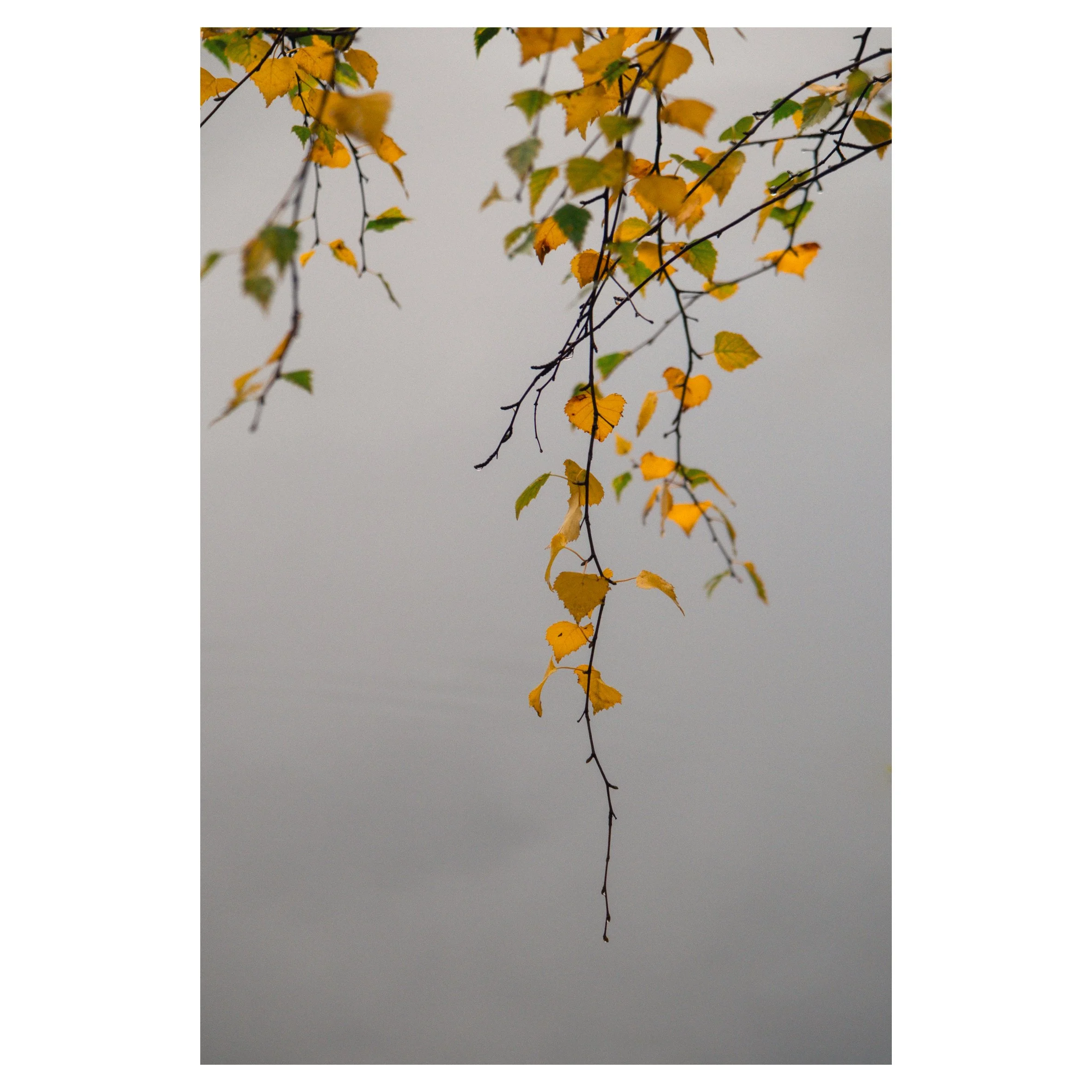 main set in frames-107.jpg