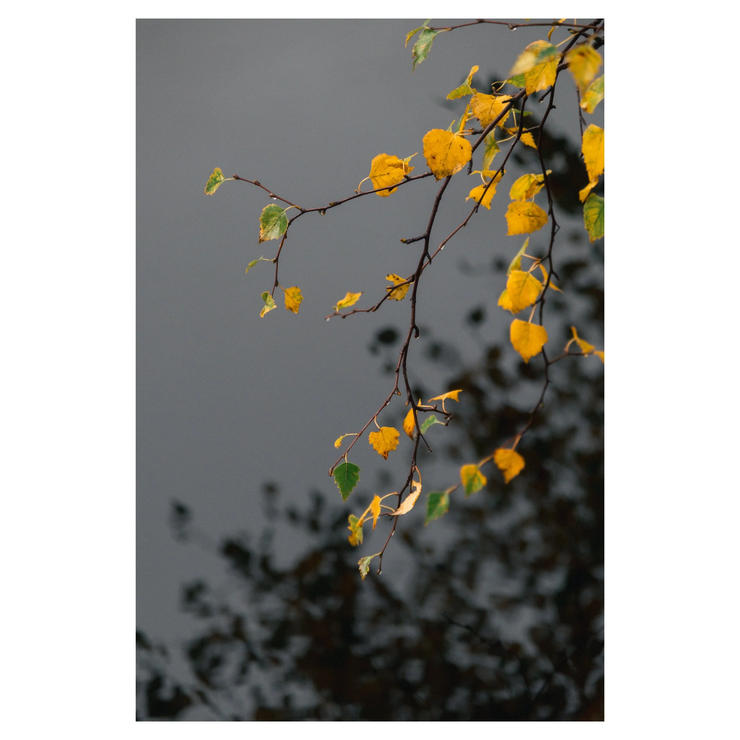 main set in frames-108.jpg