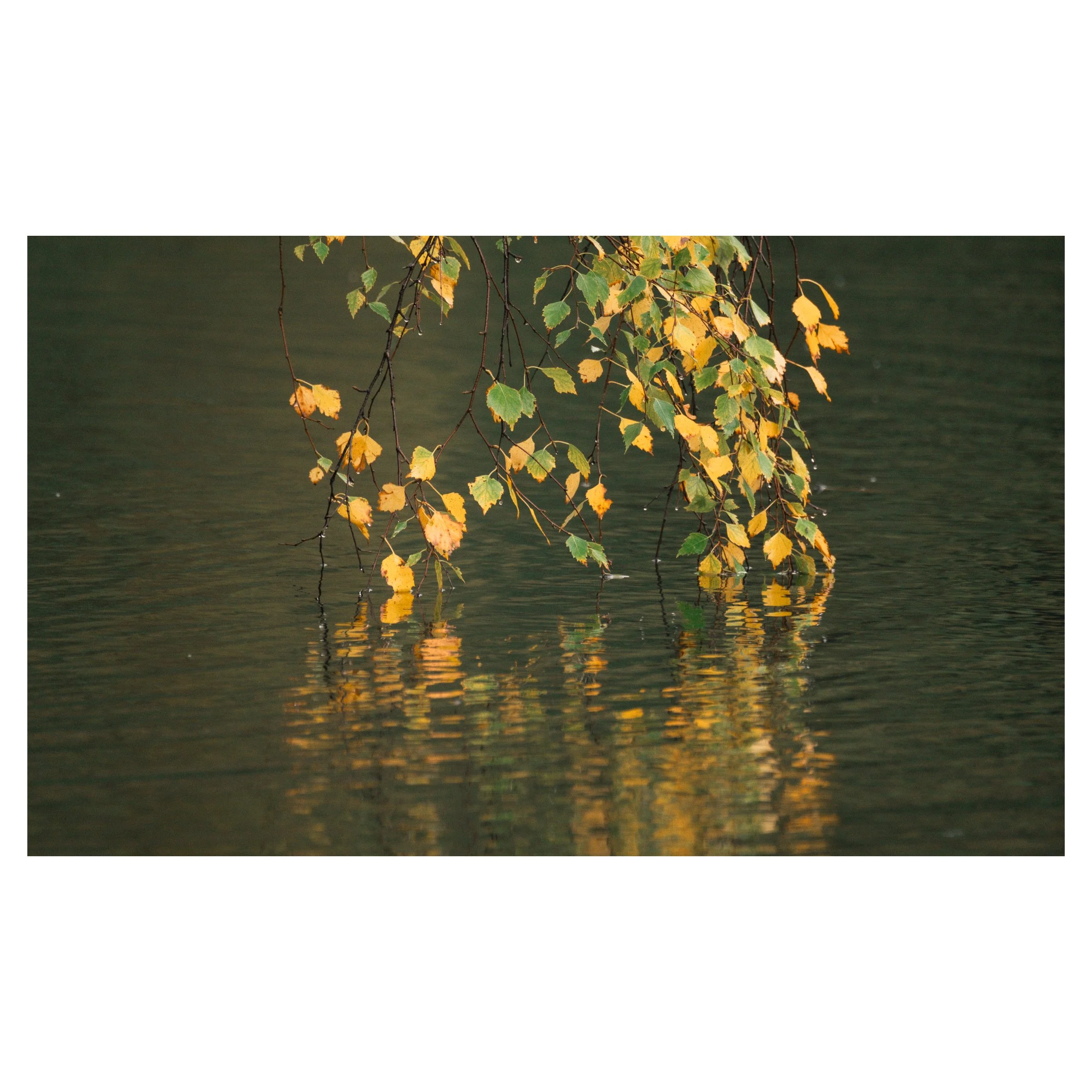 main set in frames-085.jpg