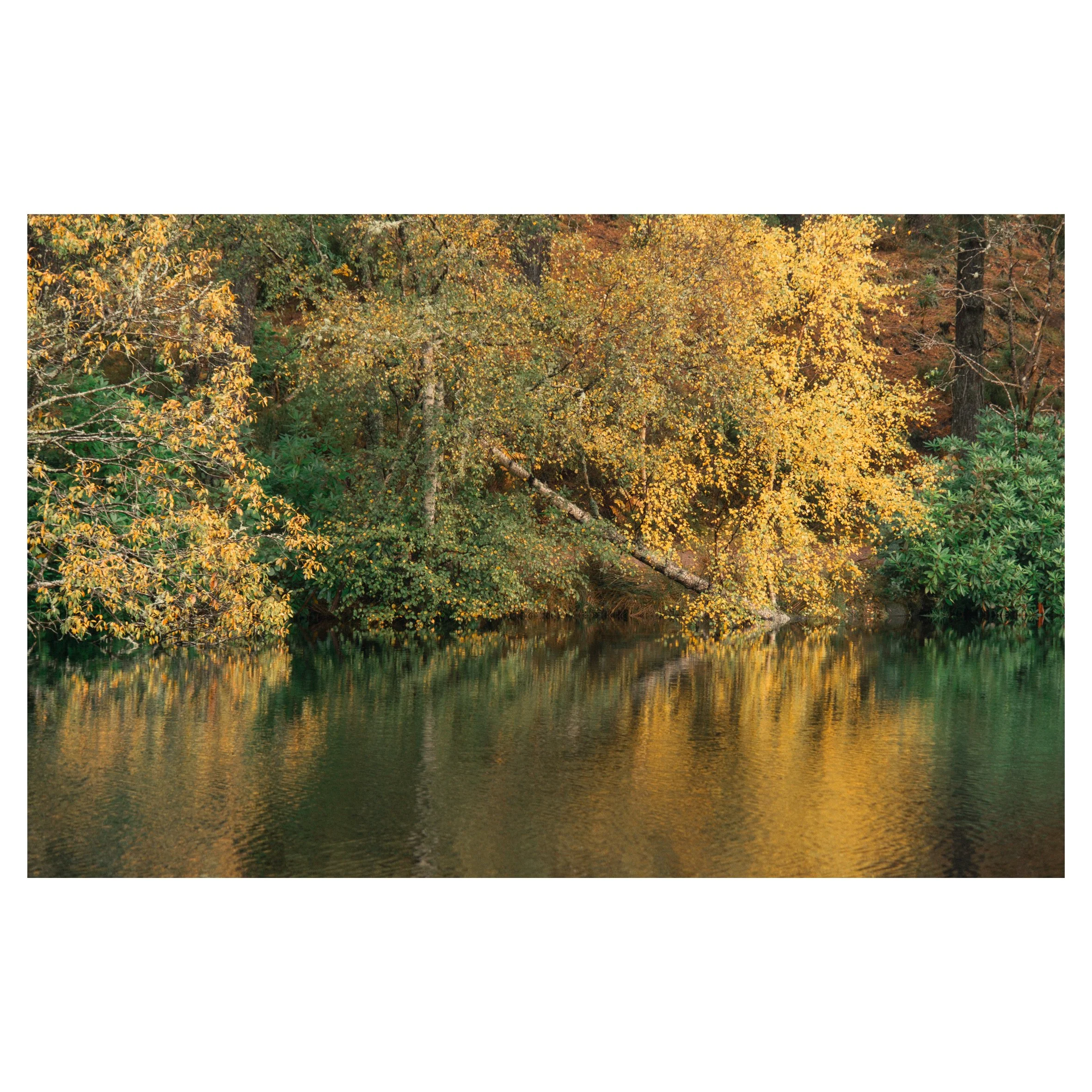 main set in frames-101.jpg