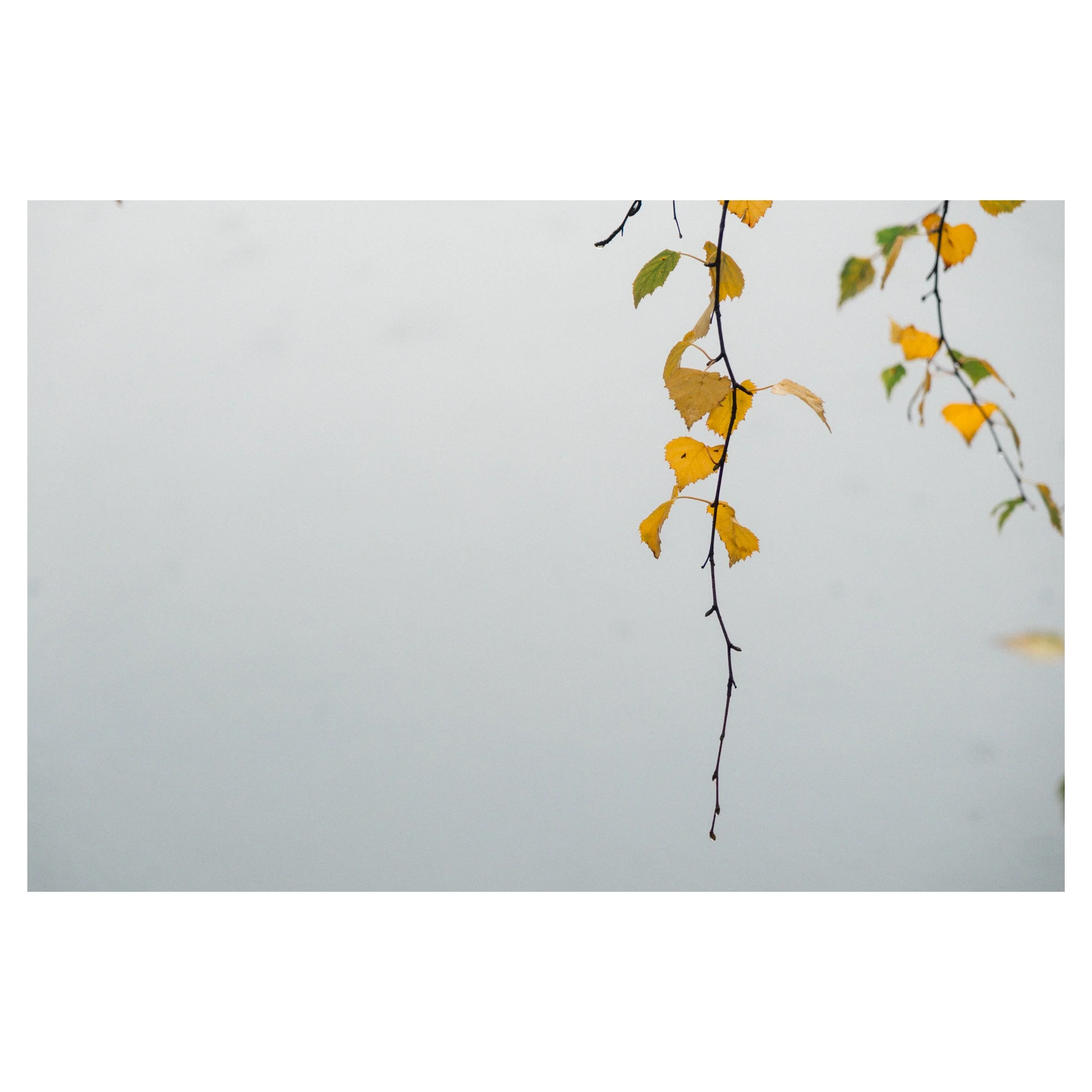 main set in frames-139.jpg