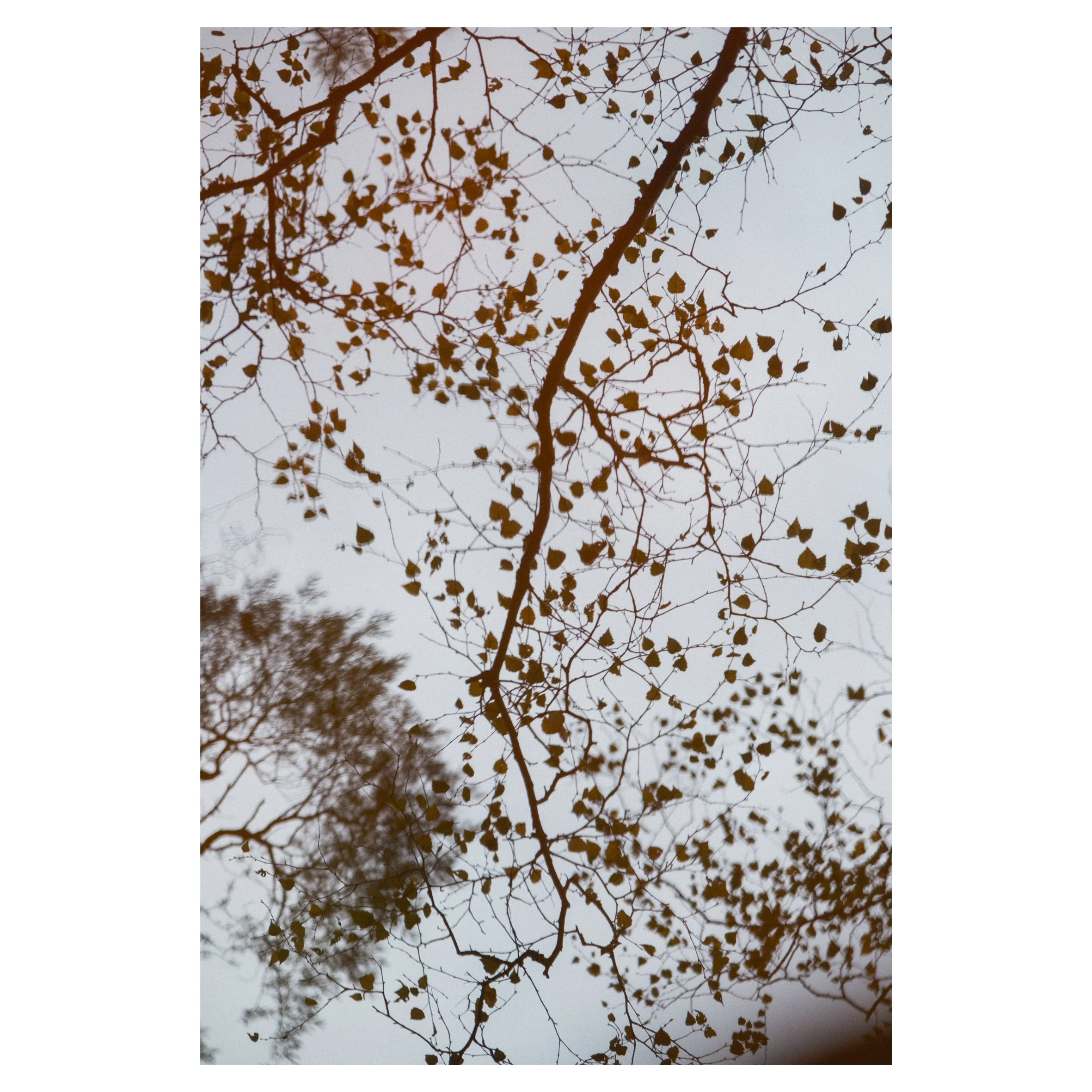 main set in frames-135.jpg