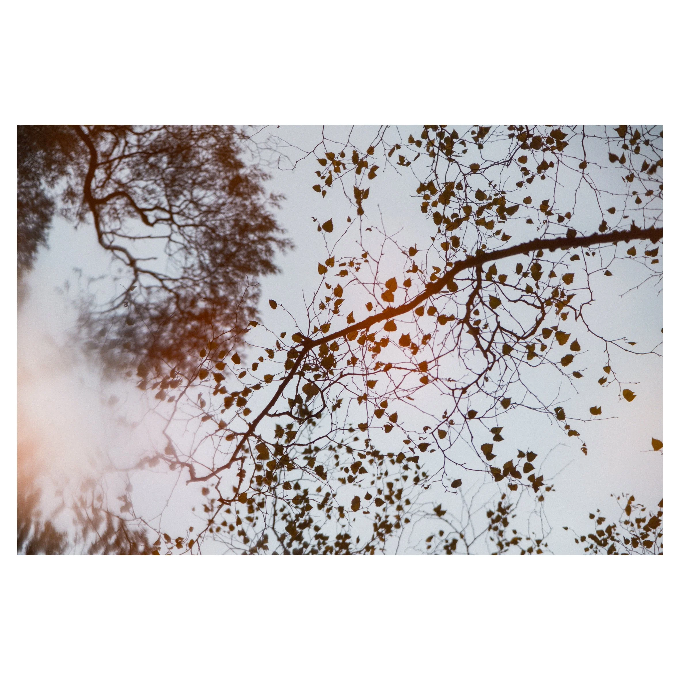 main set in frames-133.jpg