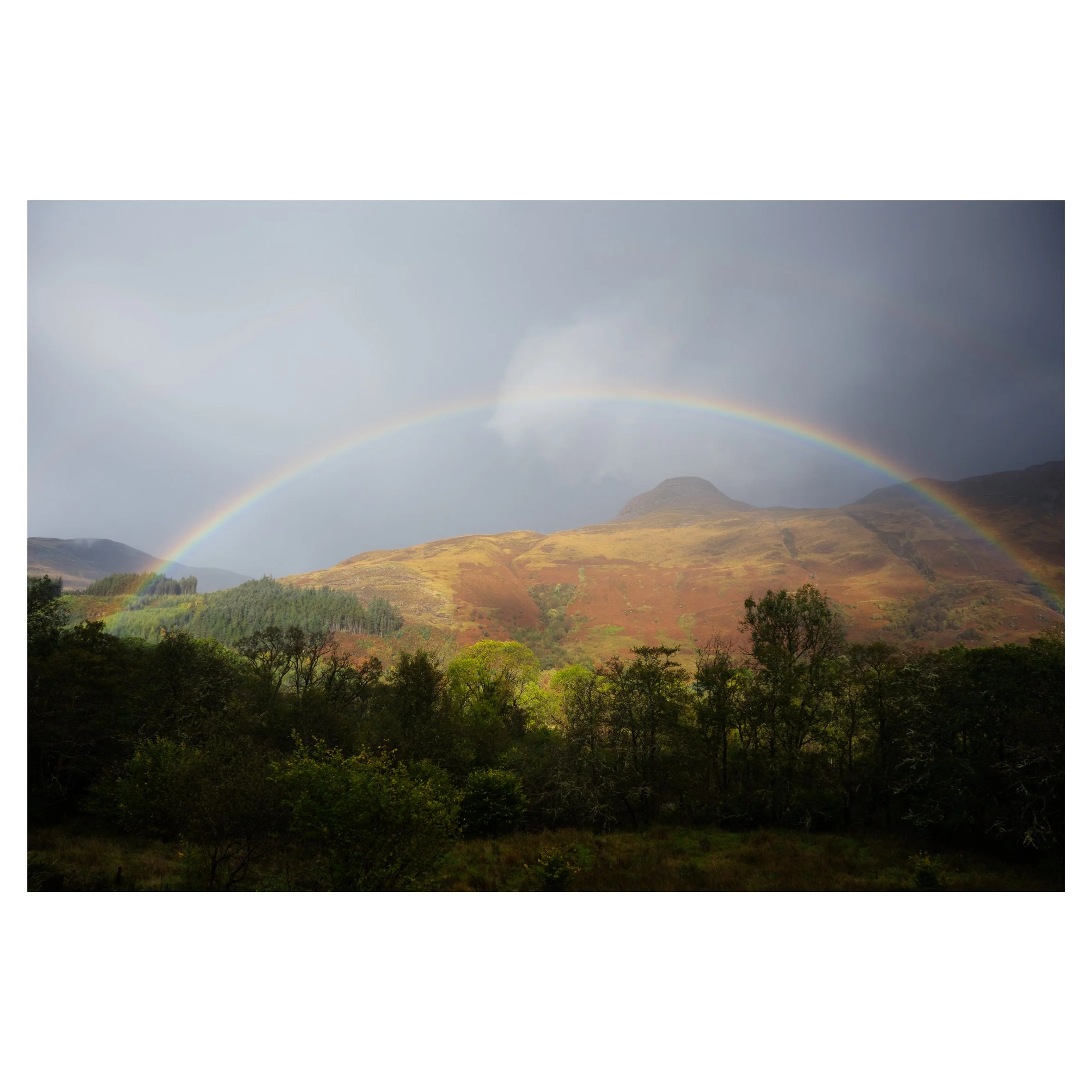 rainbows in frame-1.jpg