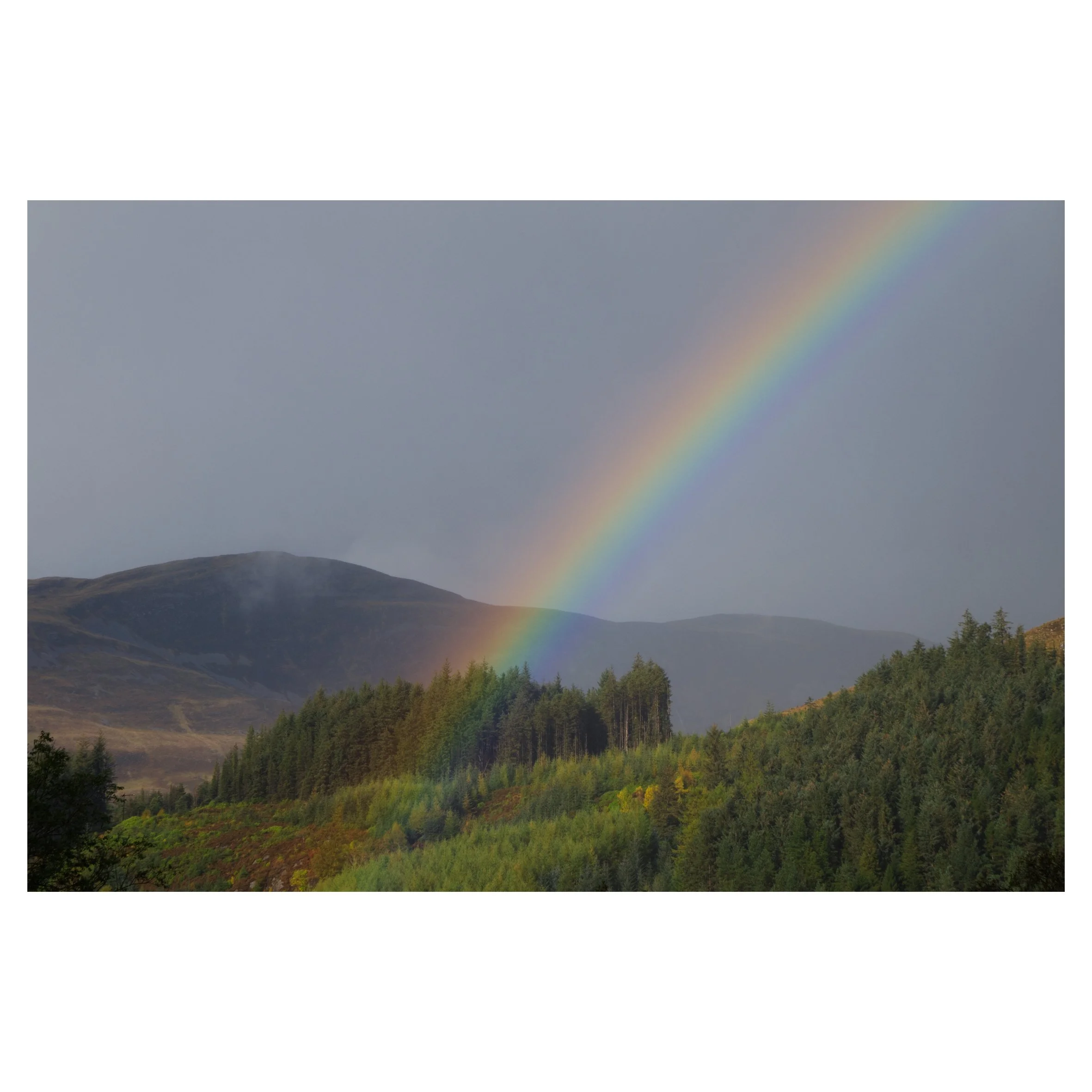 rainbows in frame-2.jpg