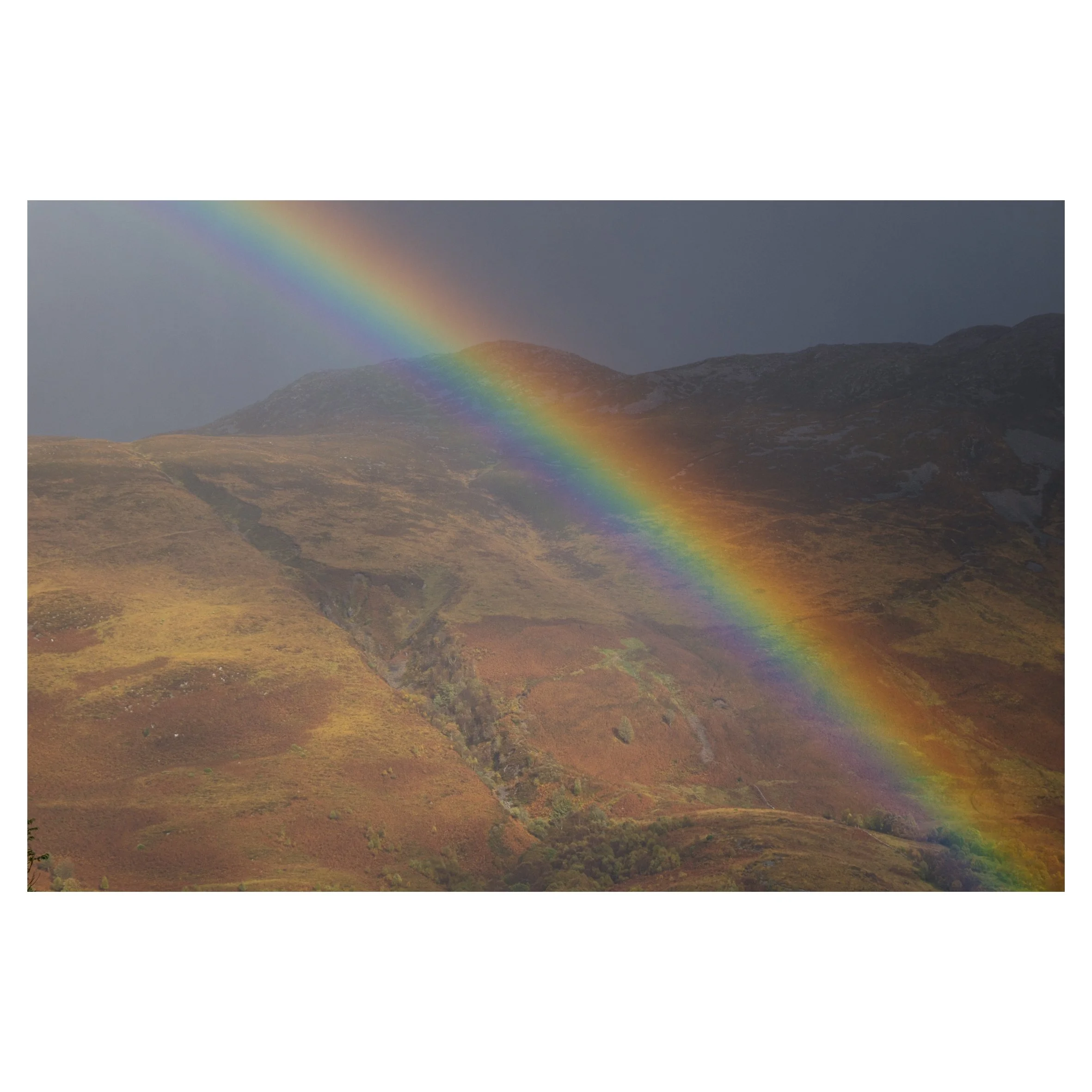 rainbows in frame-3.jpg