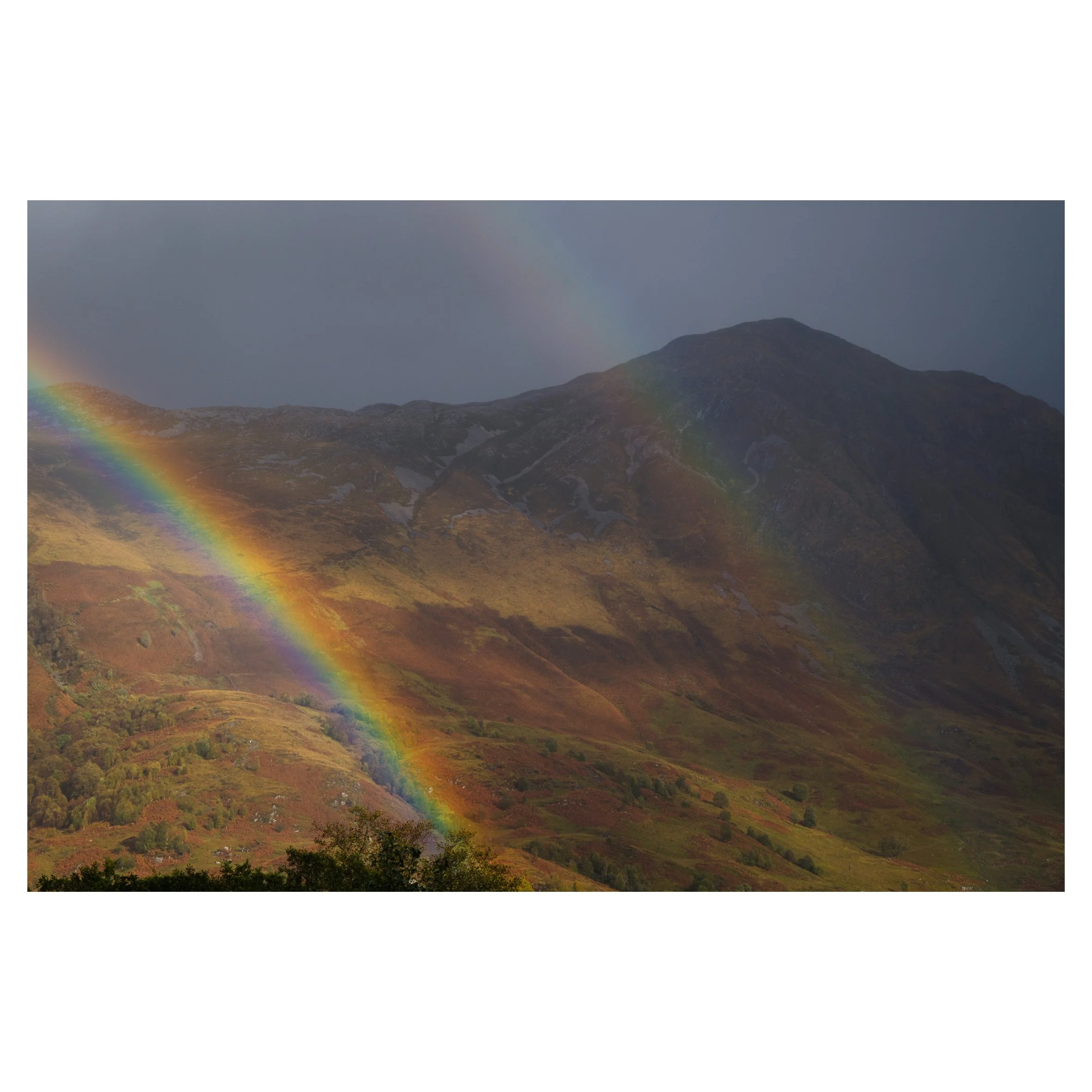 rainbows in frame-4.jpg