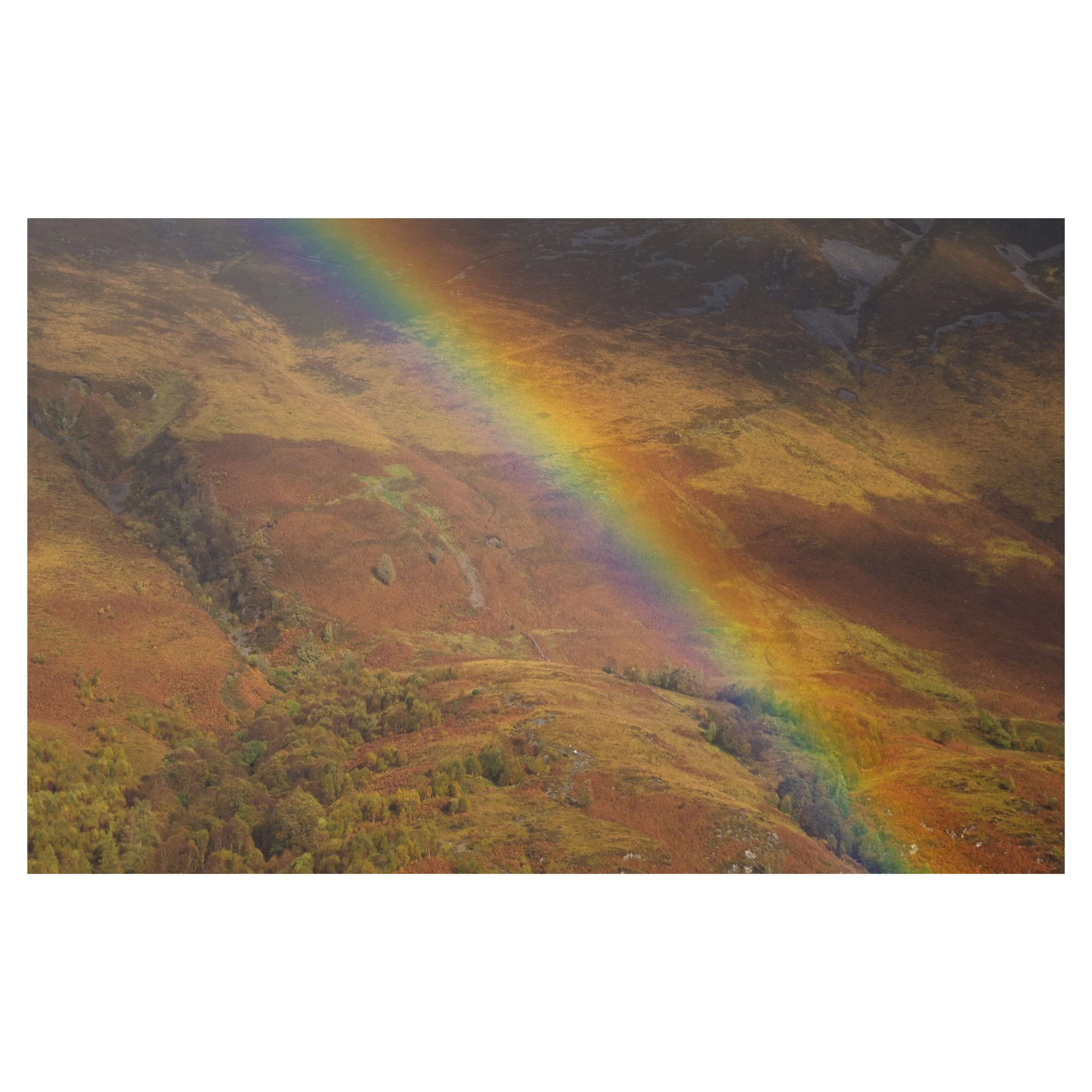 rainbows in frame-5.jpg