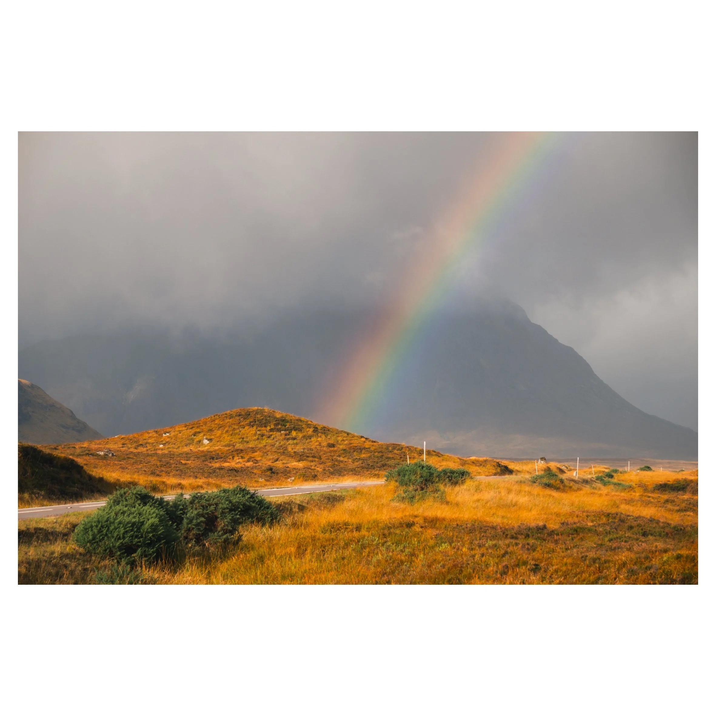 rainbows in frame-12.jpg