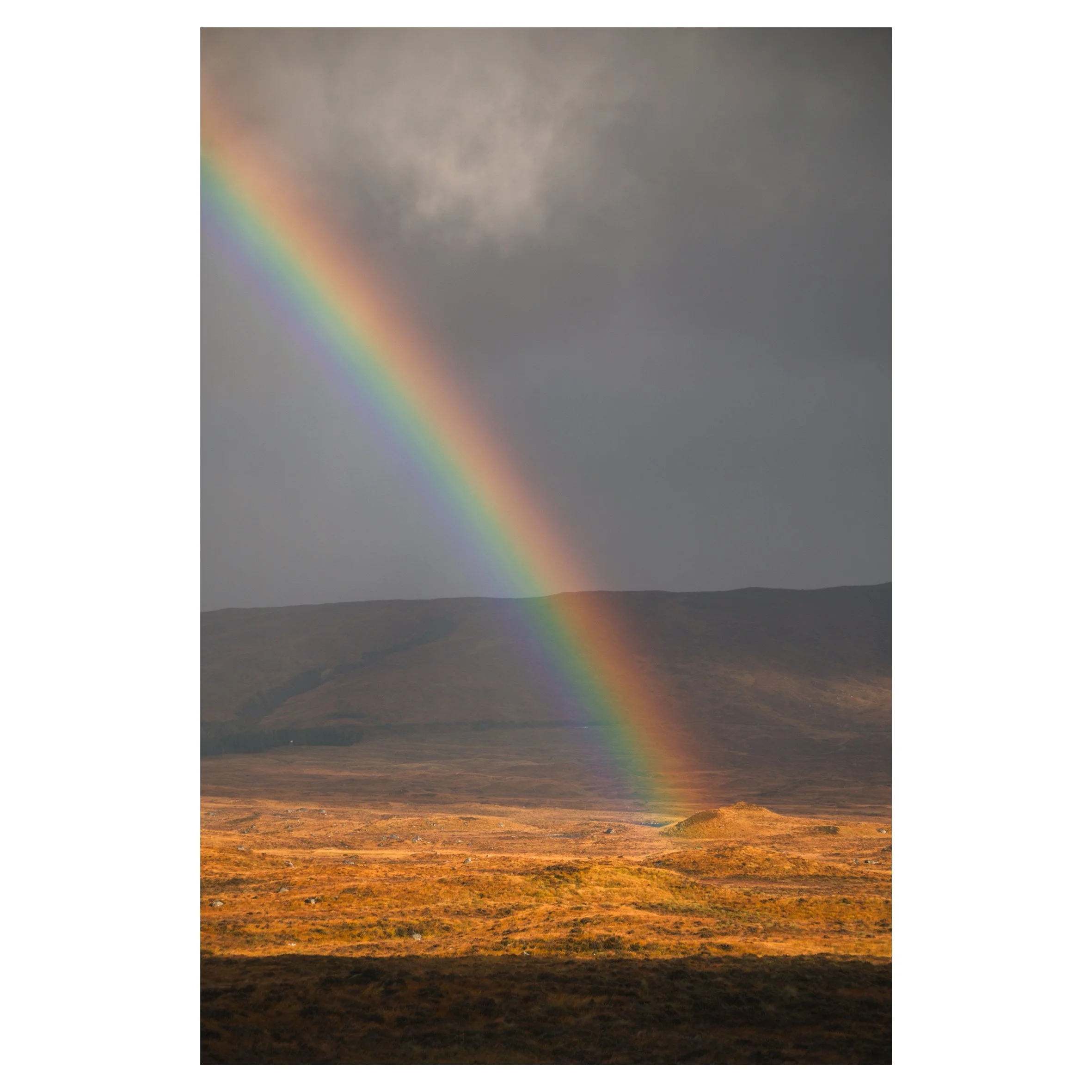 rainbows in frame-41.jpg