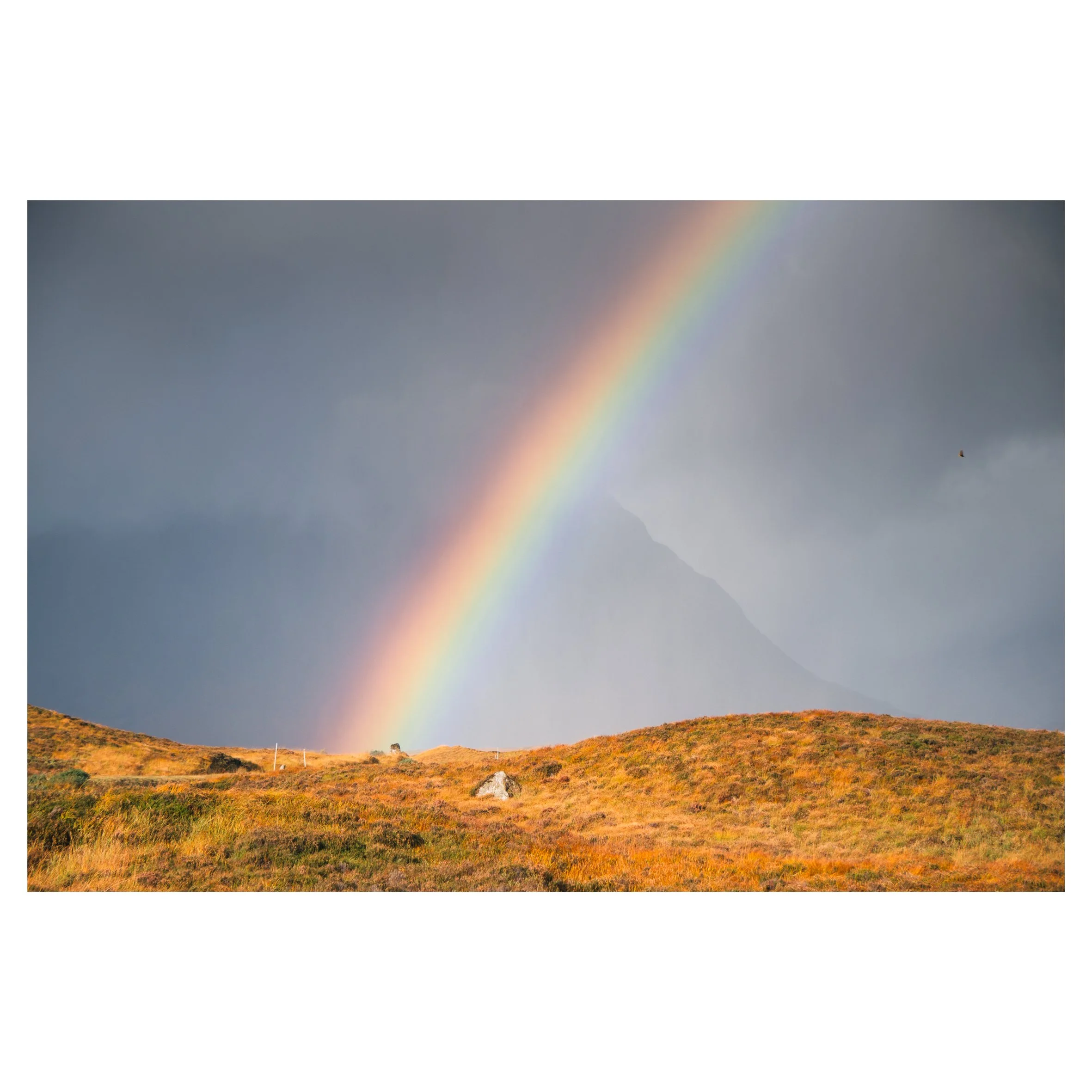 rainbows in frame-19.jpg