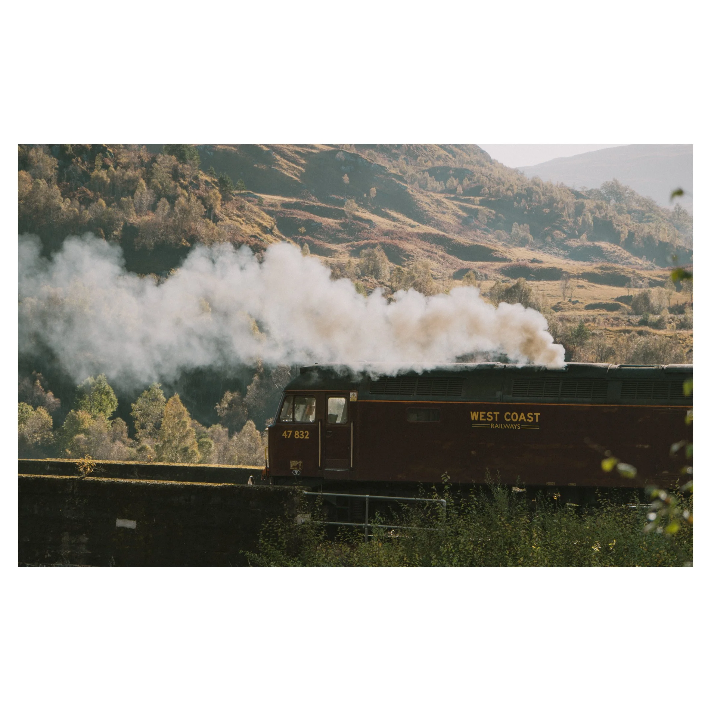 in frames-17.jpg