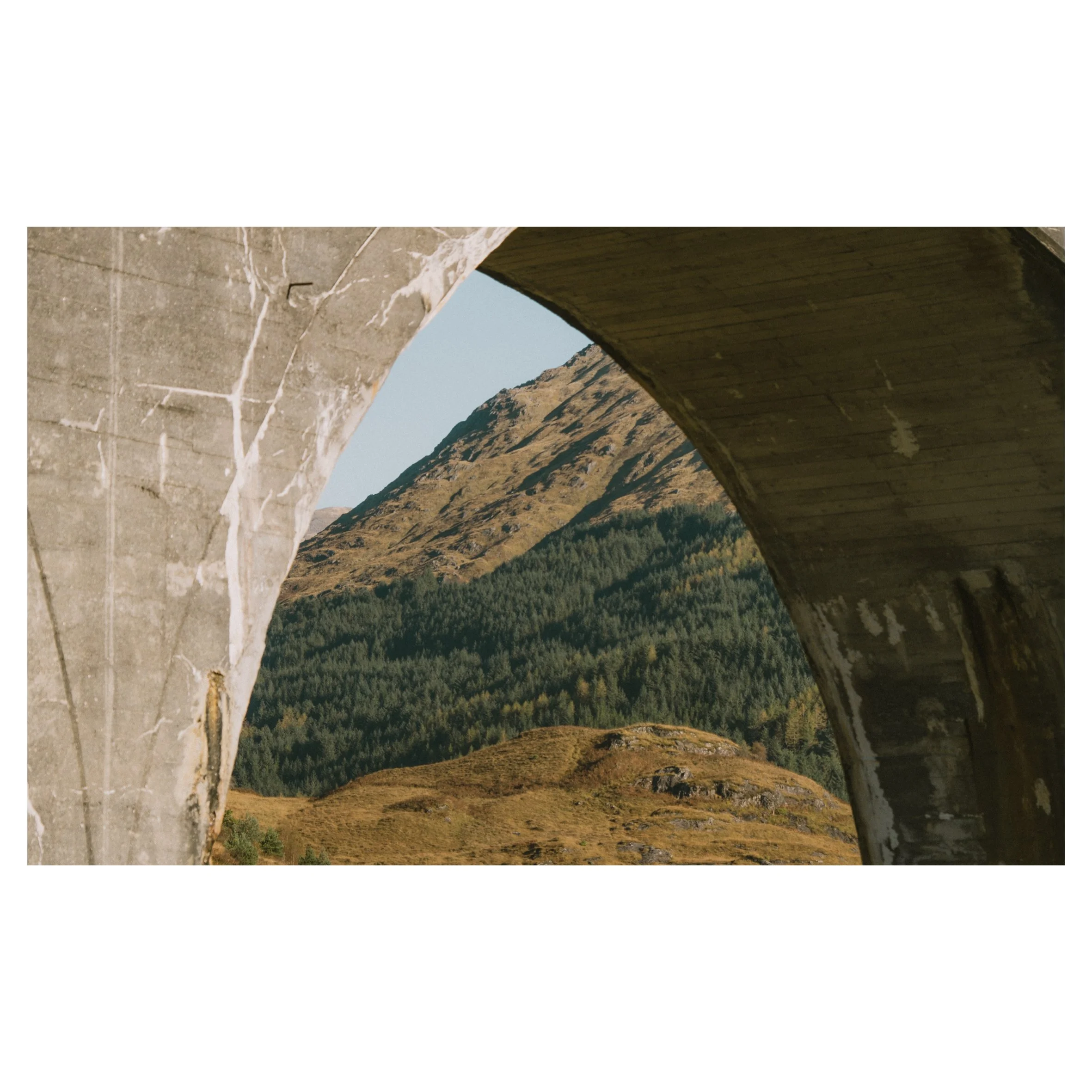 in frames-21.jpg