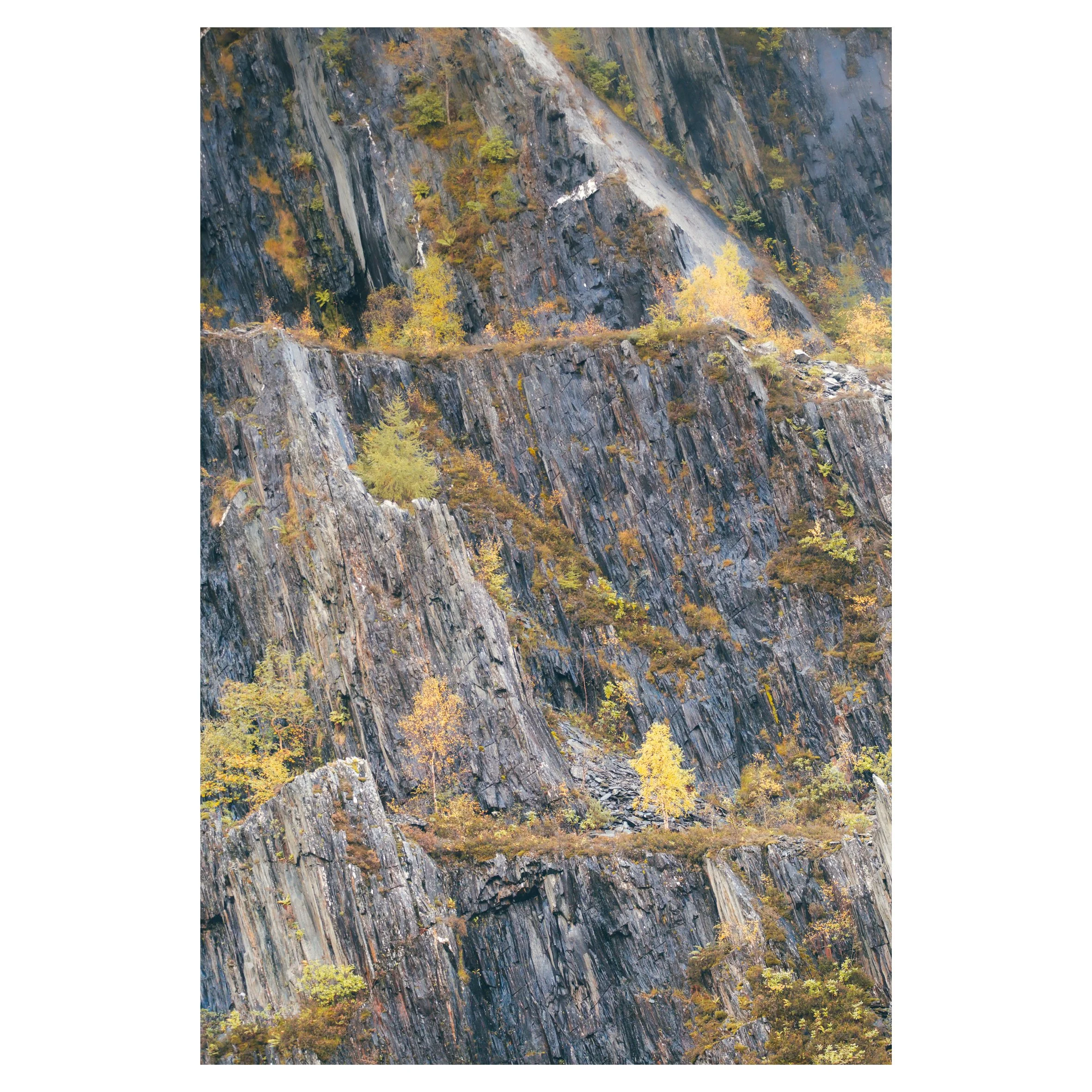 loch and quarry in frames-57.jpg