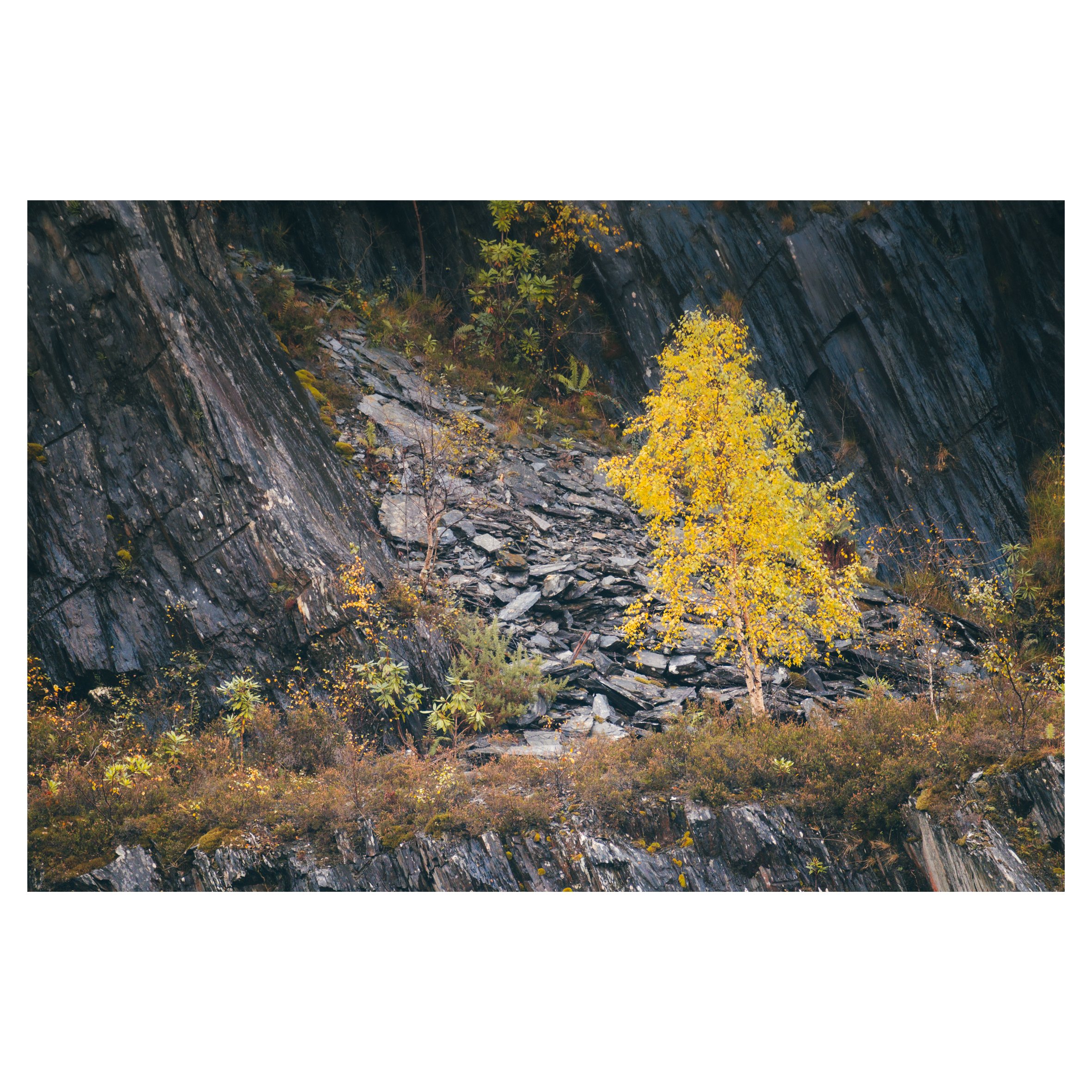 loch and quarry in frames-43.jpg