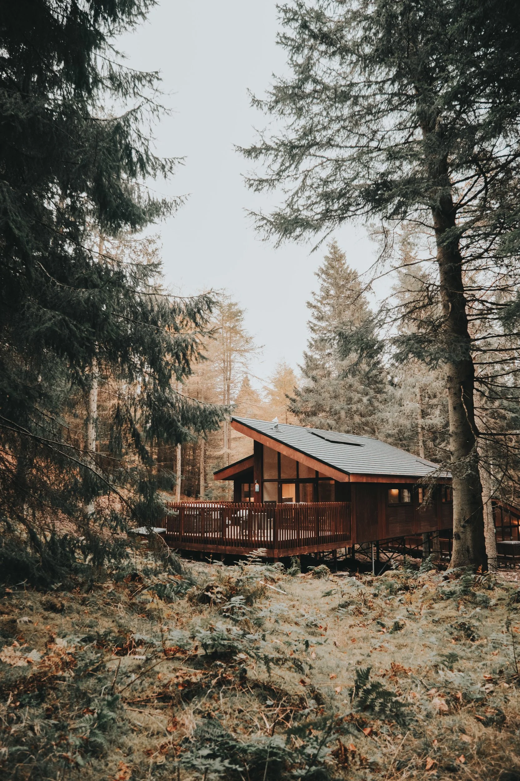 Forest Holidays - FH Low ResresizeDSCF6717.jpg