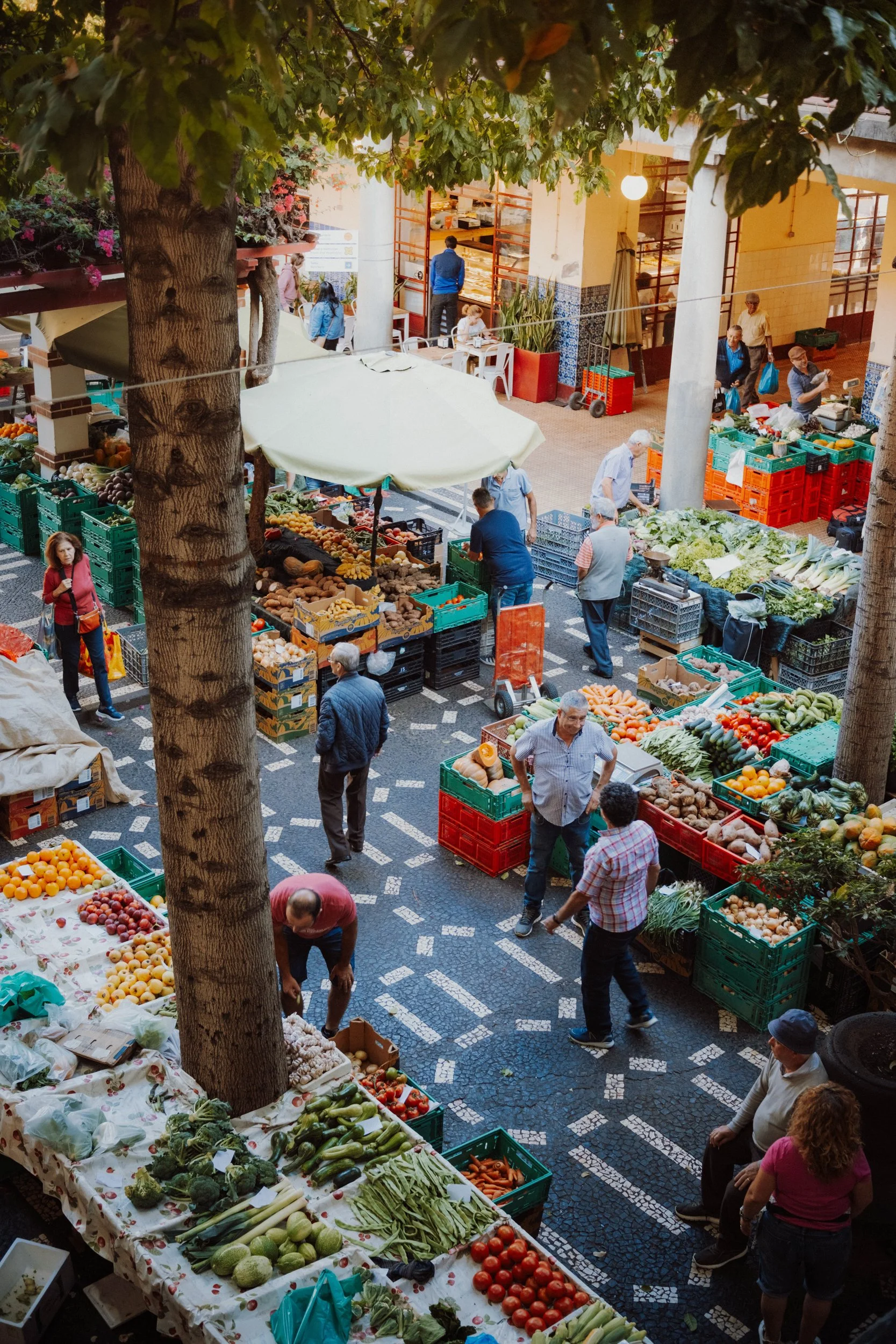 Visit Madeira - Madeira portfolio DSCF0831.jpg