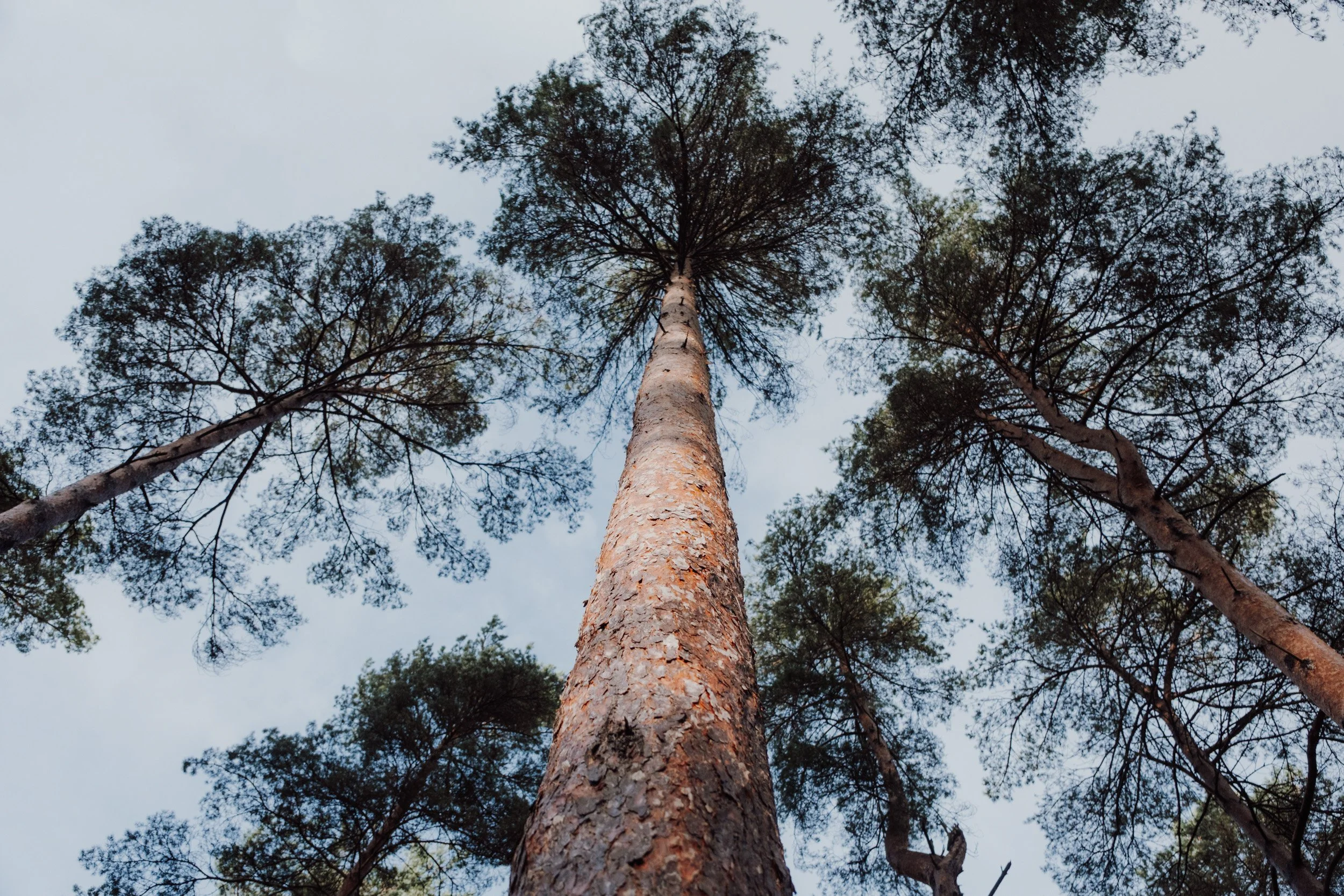 Burnbake Lodge - DSCF8335.jpg