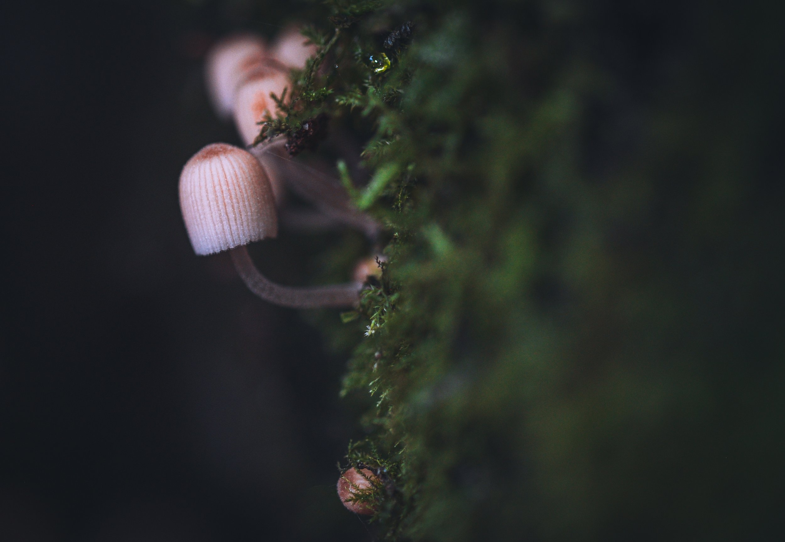 DSCF9336.jpg