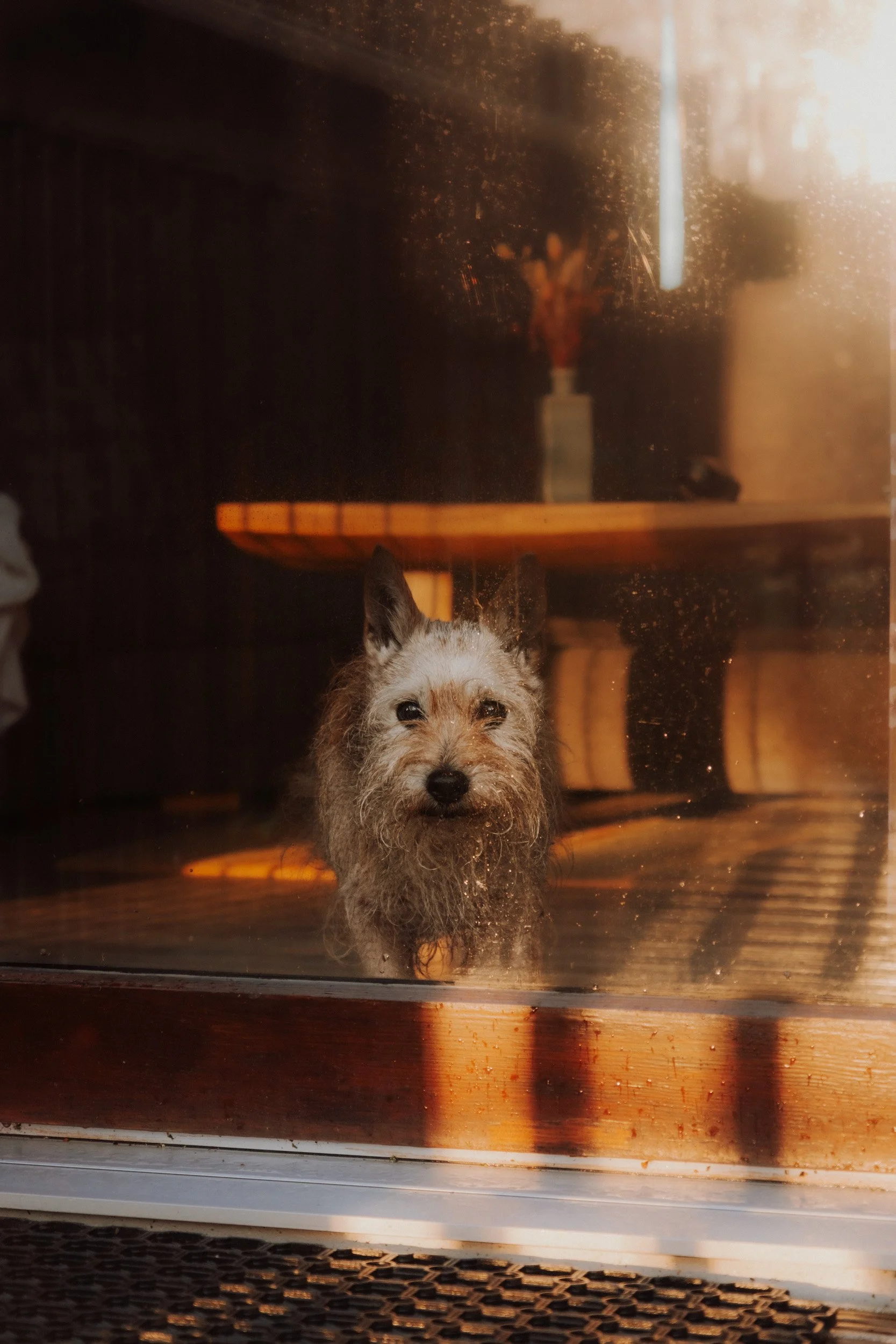 Burnbake Lodge - DSCF8393.jpg