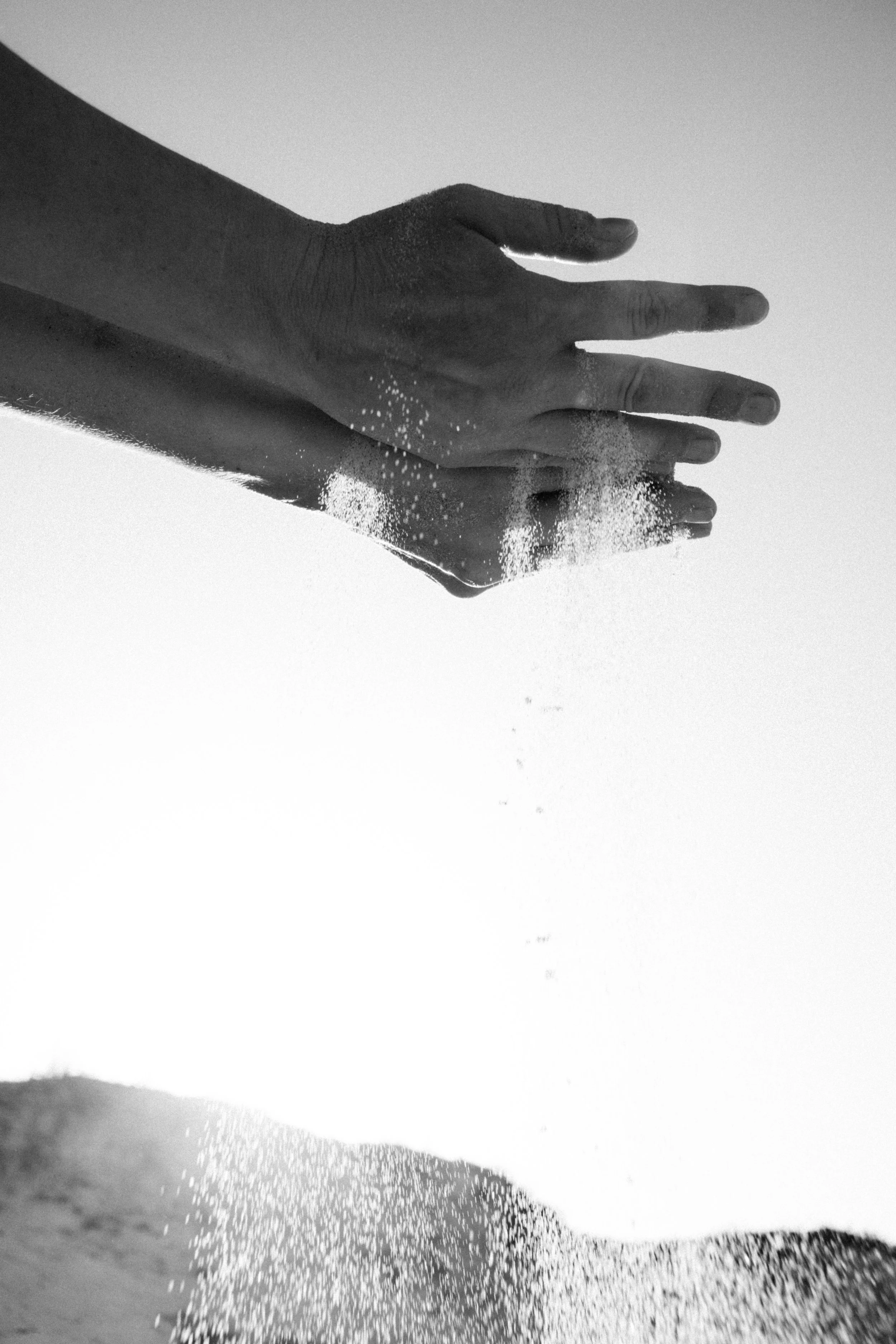 DSCF4728.jpg