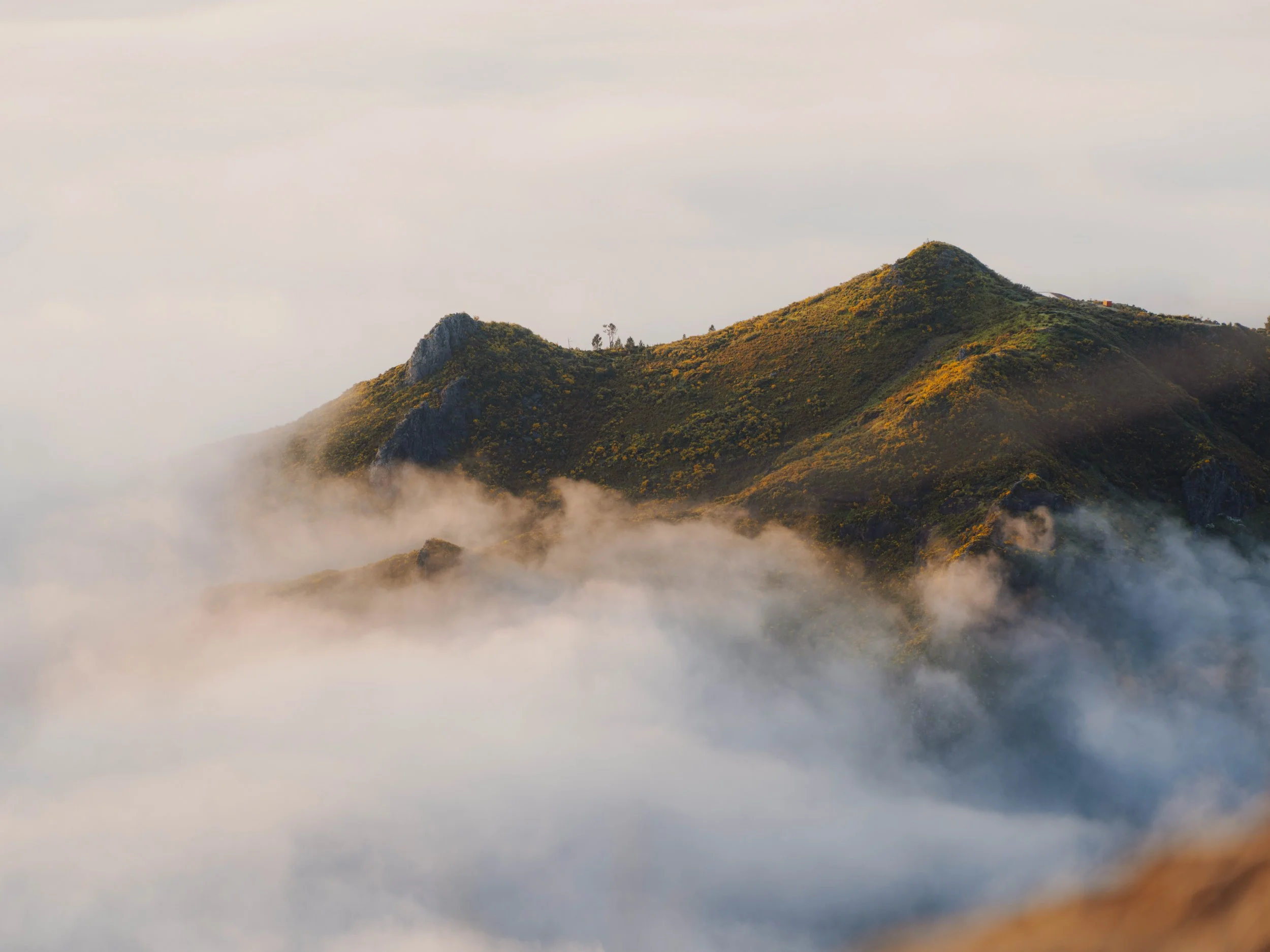 Visit Madeira - Madeira portfolio DSCF3353.jpg