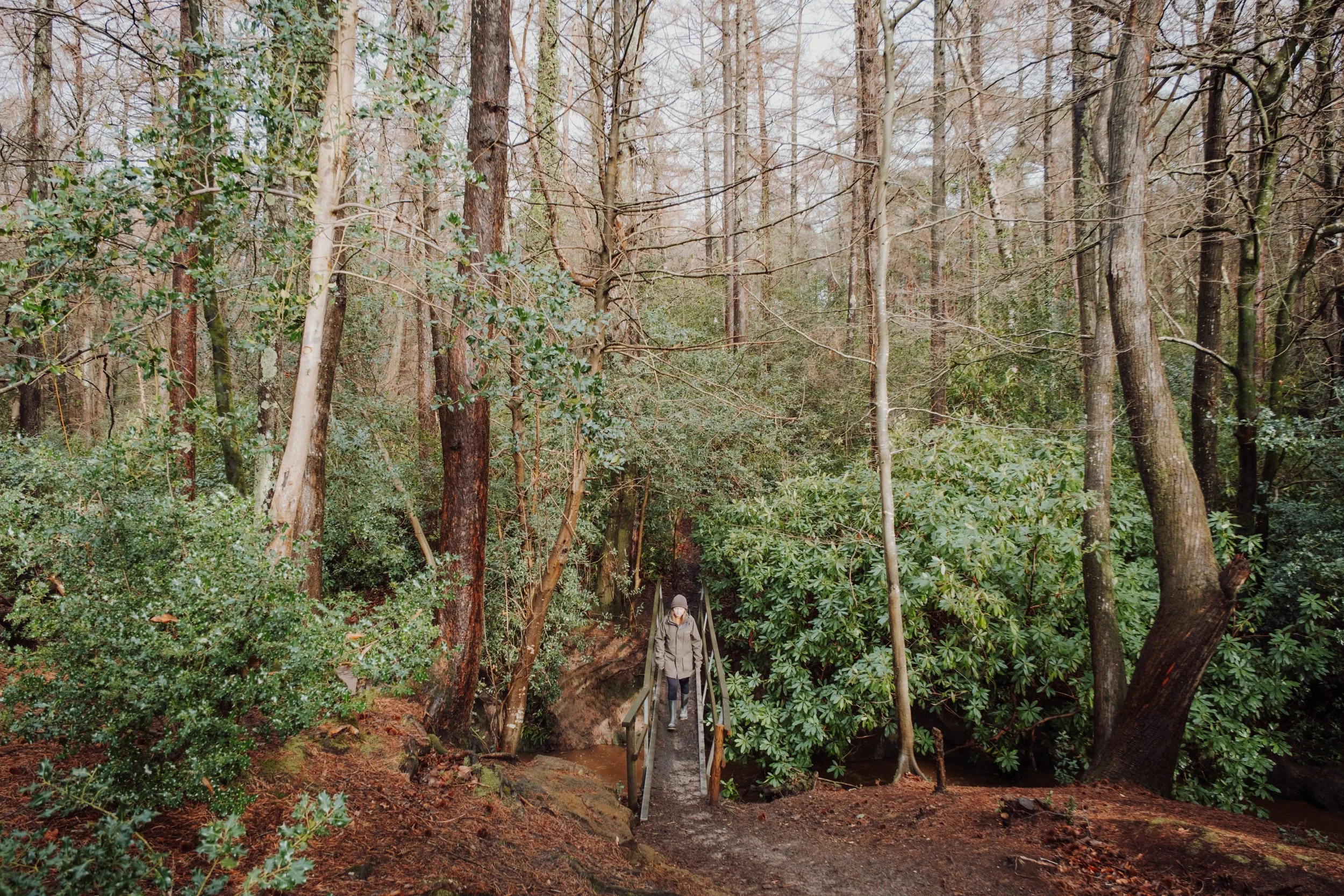 Burnbake Lodge - DSCF8209.jpg