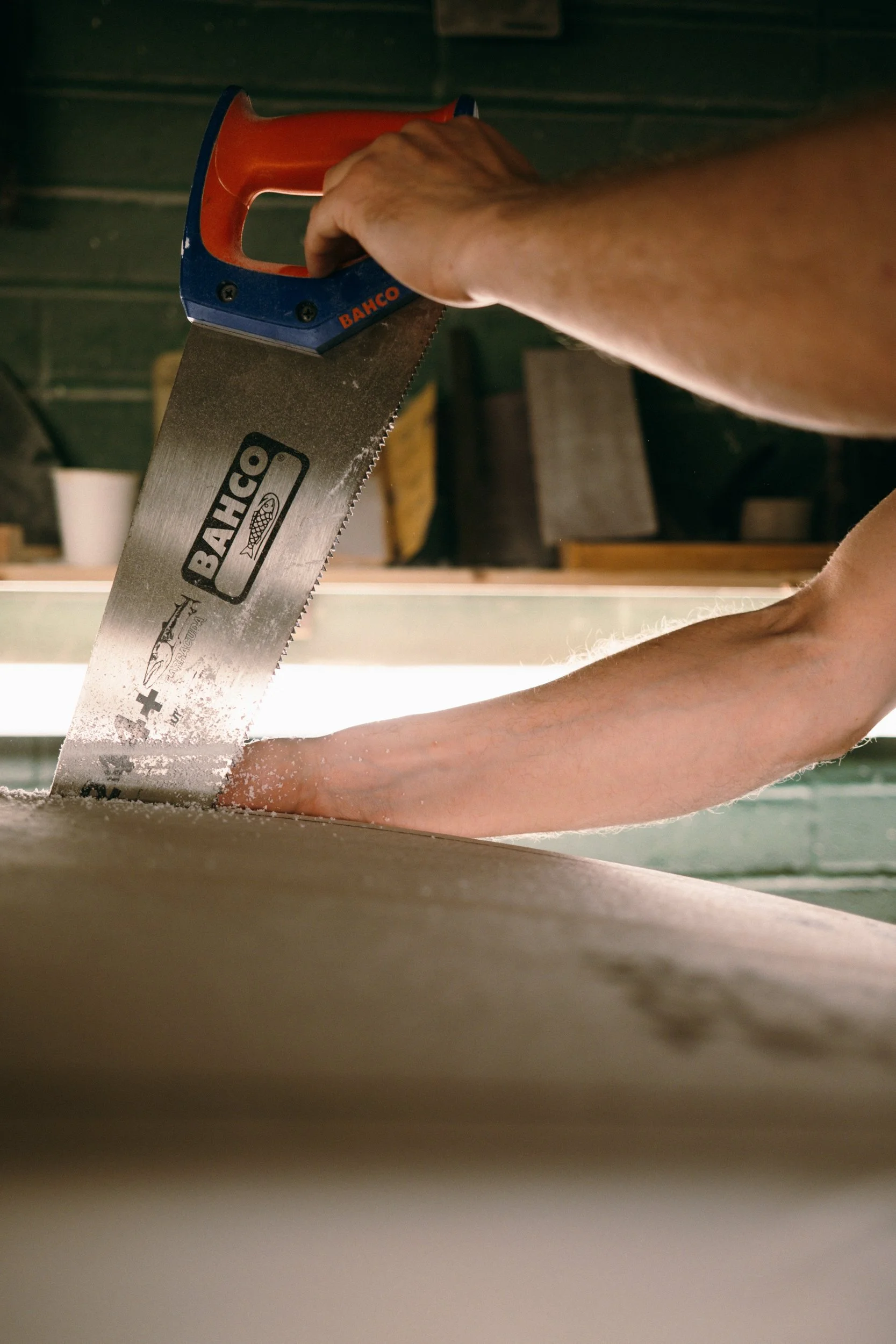 Cooper - DSCF0676.jpg