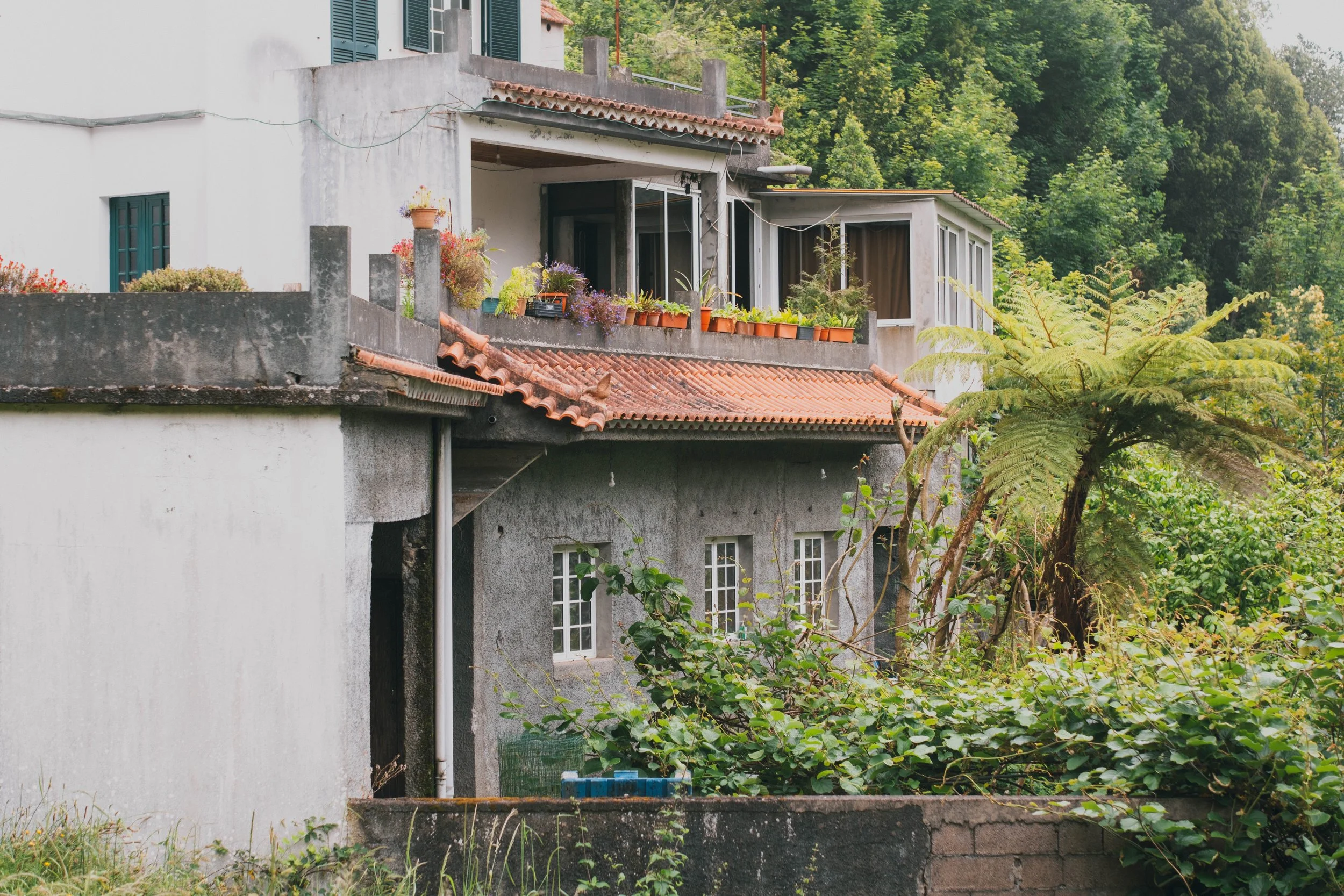 Madeira portfolio madeira-9784.jpg
