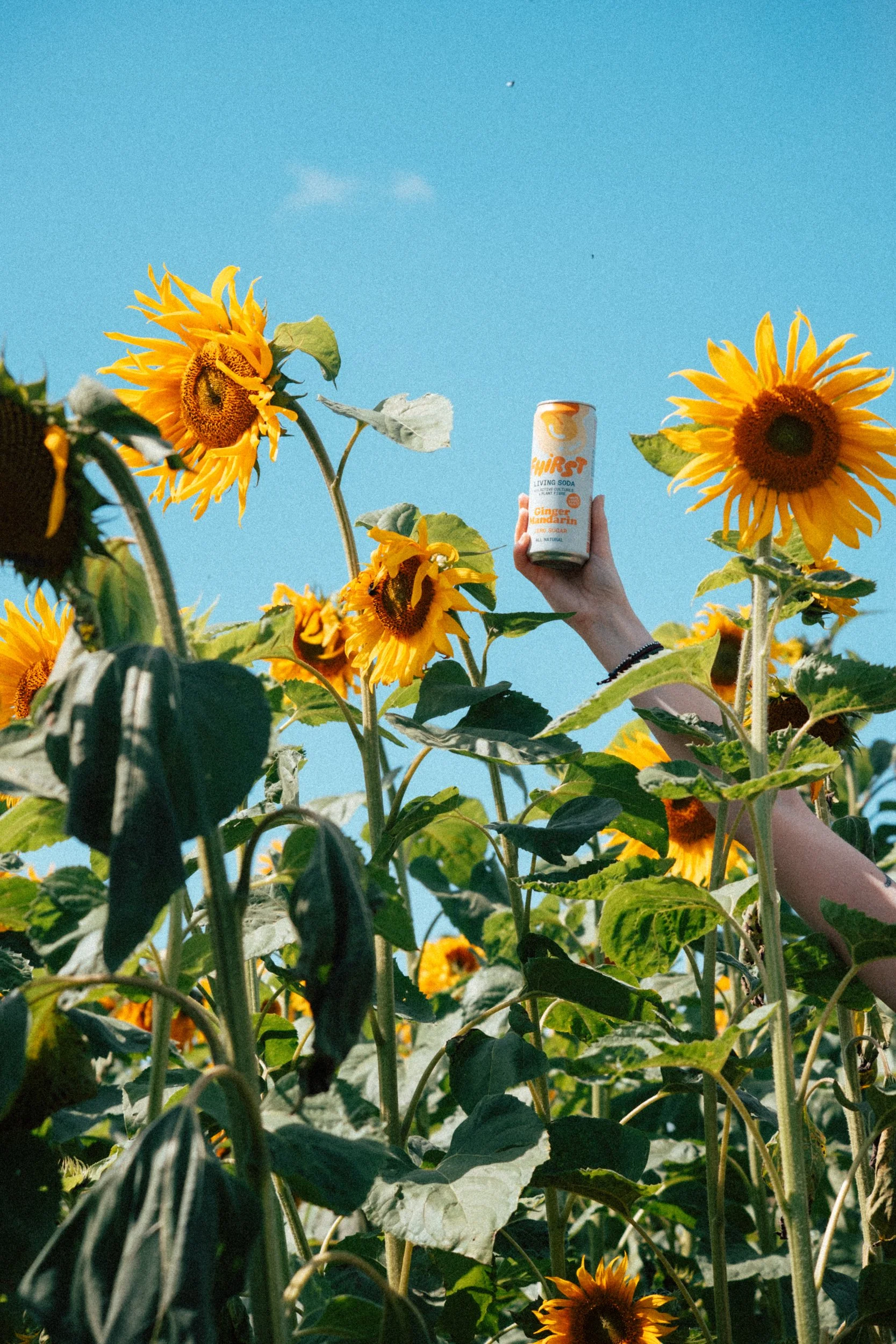 Fhirst - DSCF2912.jpg