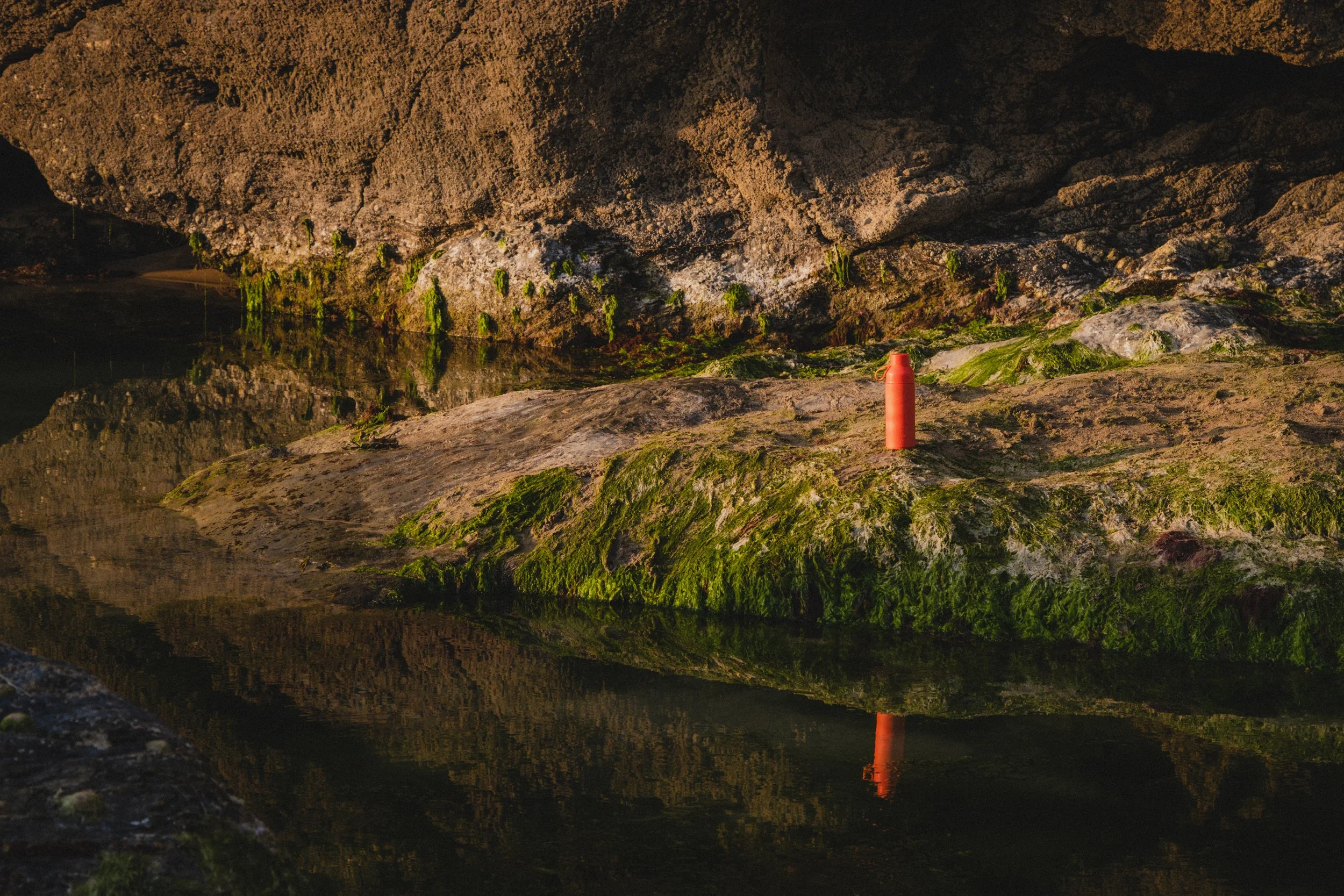 Ocean Bottle - DSCF4597.jpg