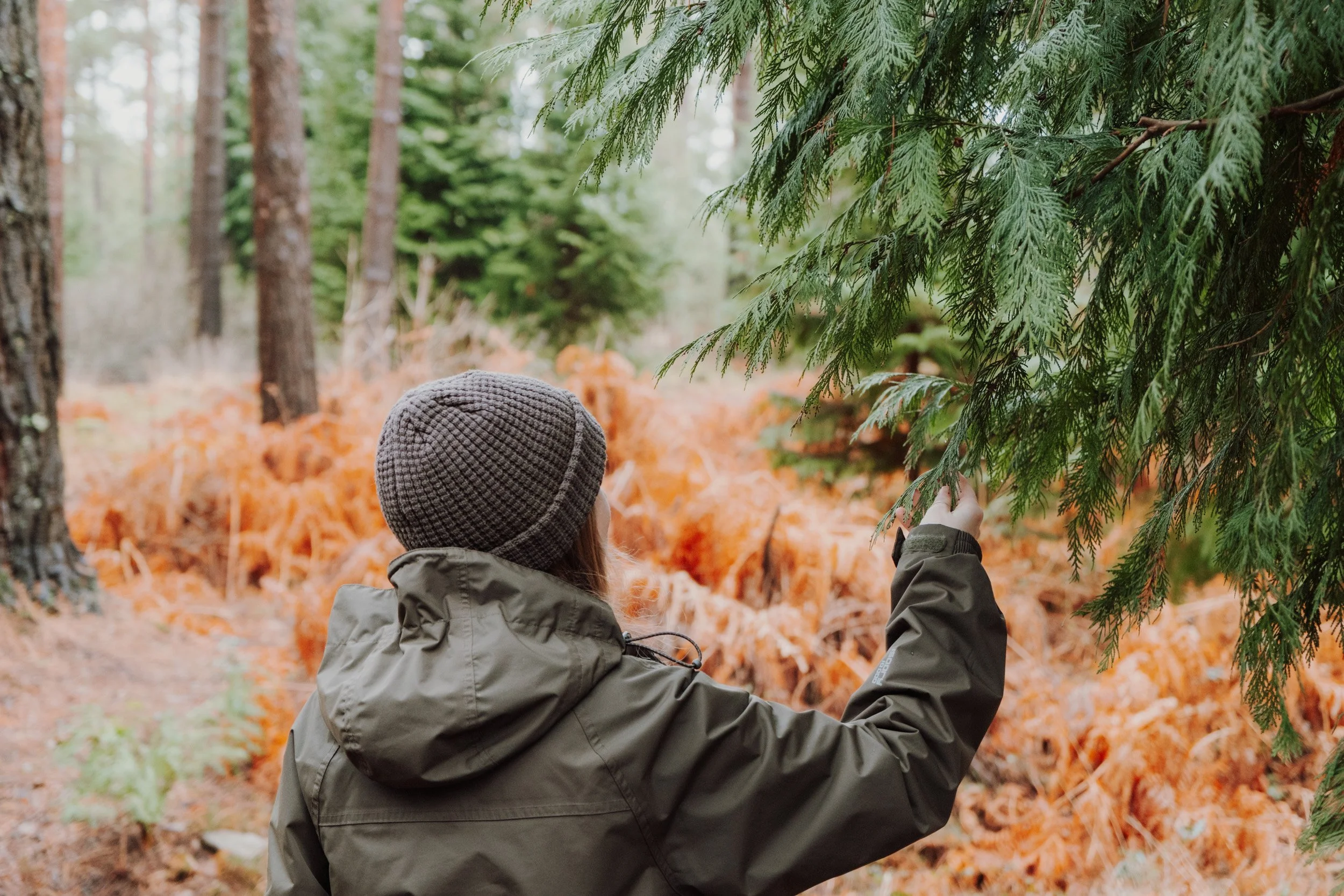 Burnbake Lodge - DSCF8296.jpg