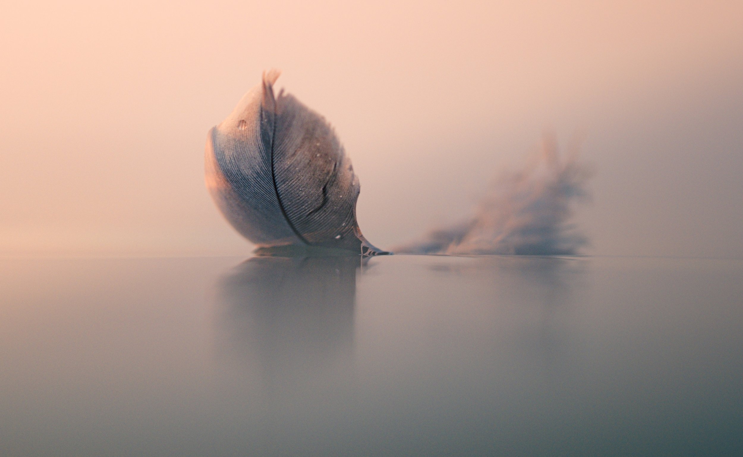 Dreamscapes 15.jpg