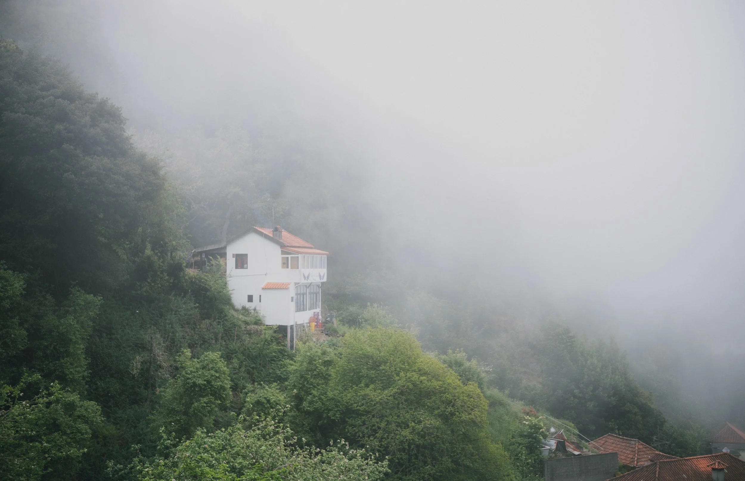 Visit Madeira - Madeira portfolio madeira-9520.jpg