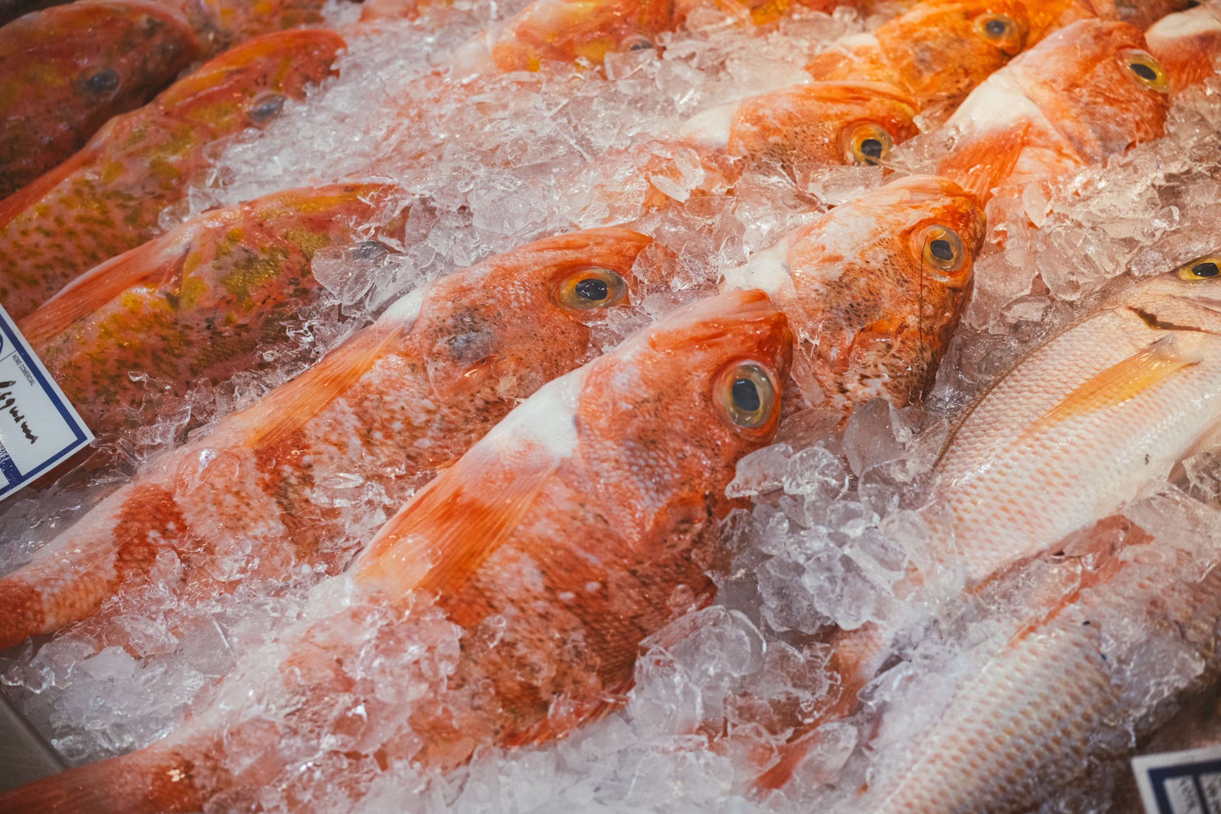Visit Madeira - DSCF9109.jpg