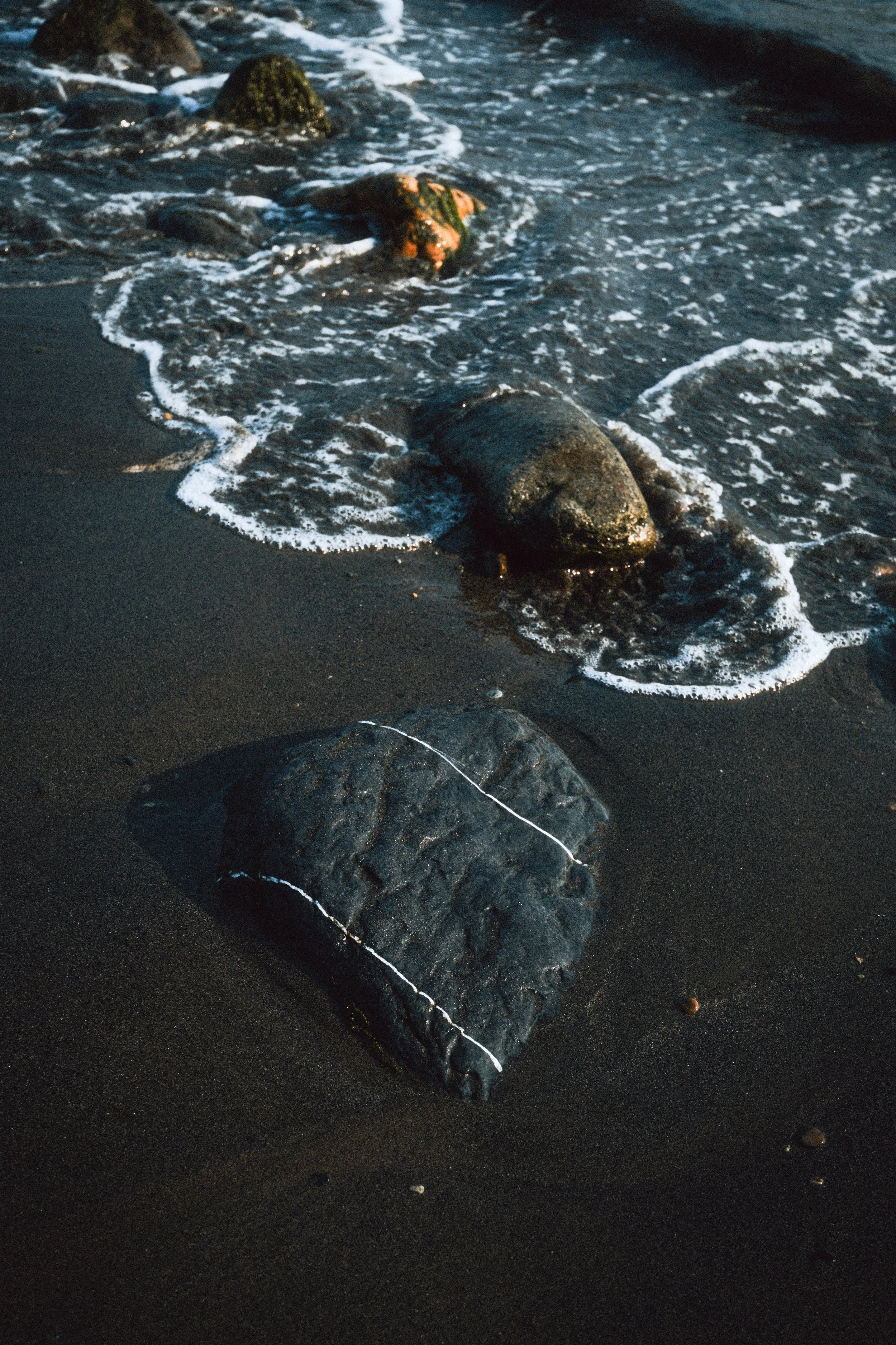 DSCF7144.jpg