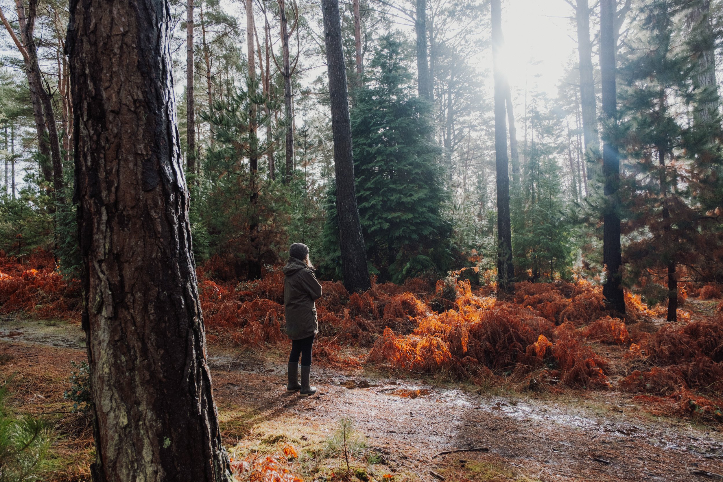 Burnbake Lodge - DSCF8336.jpg