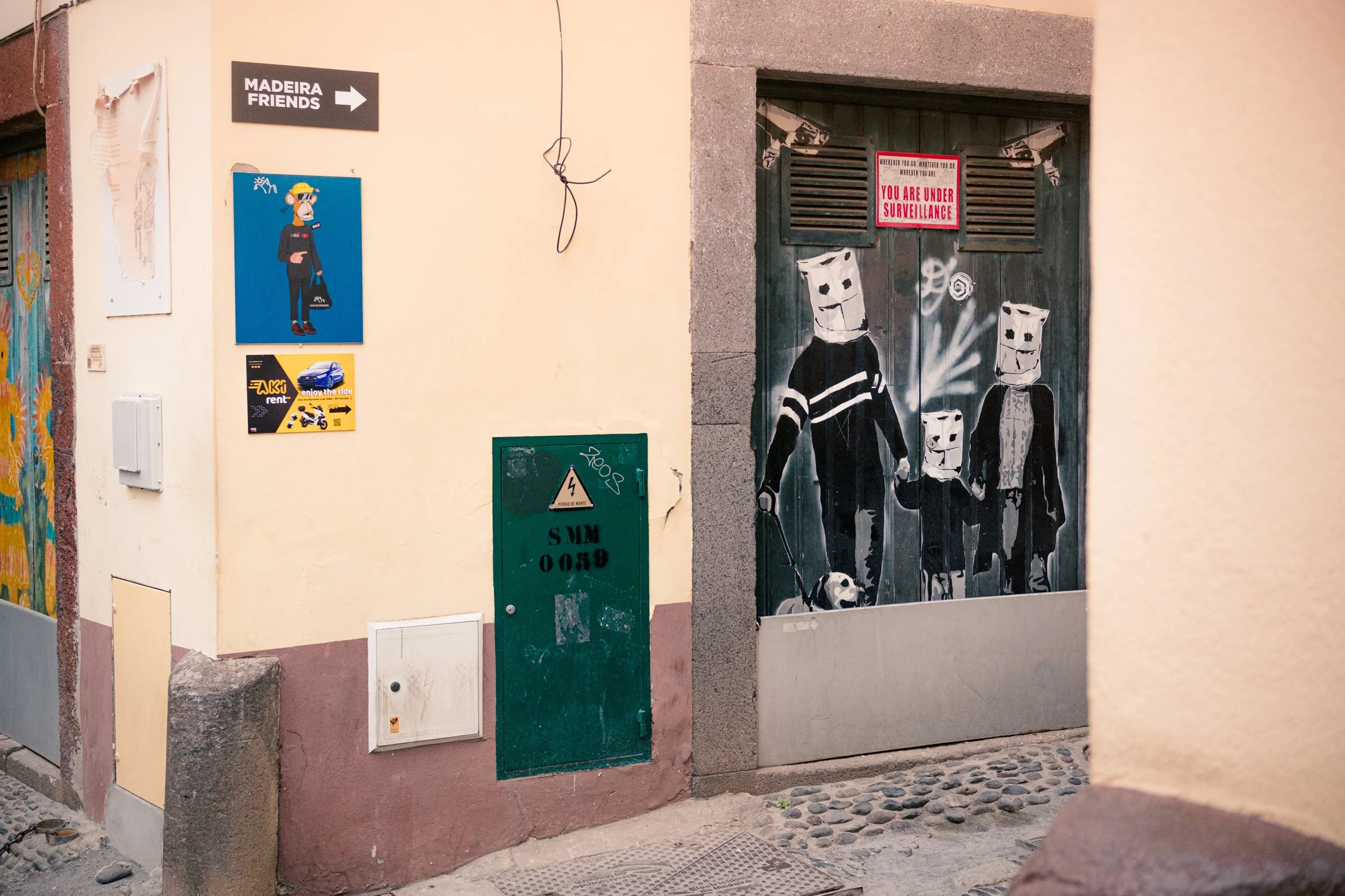 Visit Madeira - Madeira portfolio DSCF9248.jpg