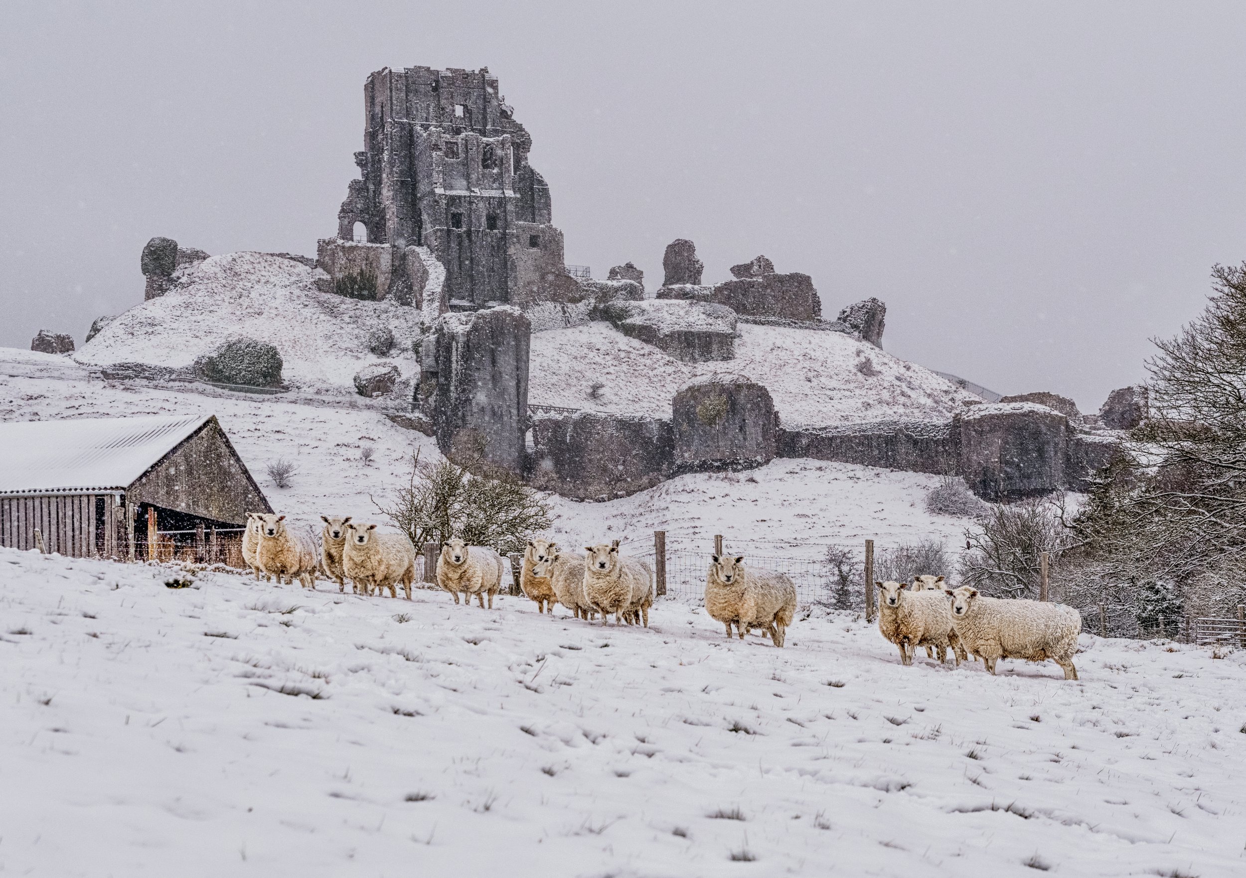 DSC_5118-Edit-2-2.jpg