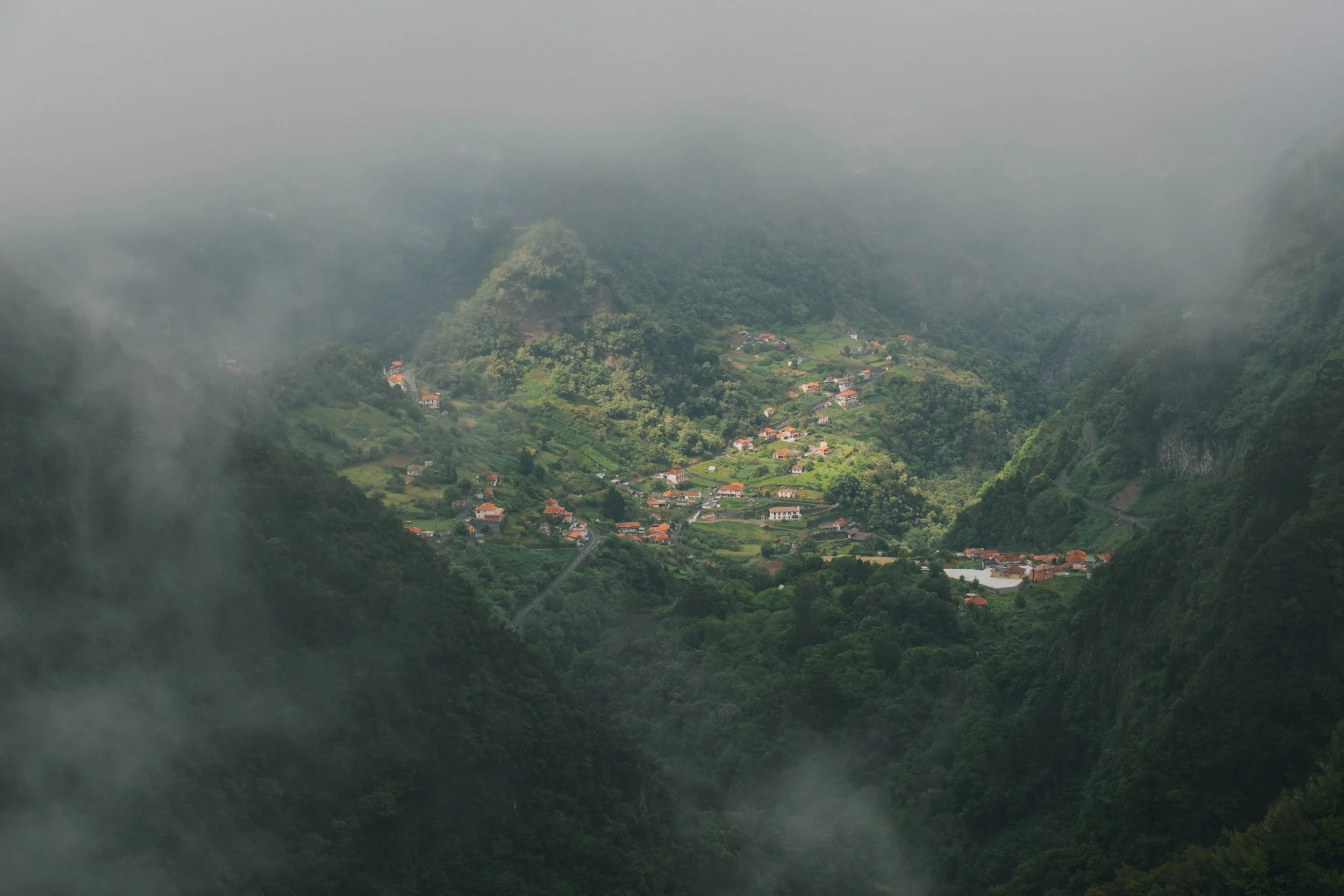 Visit Madeira - Madeira portfolio madeira-9595.jpg